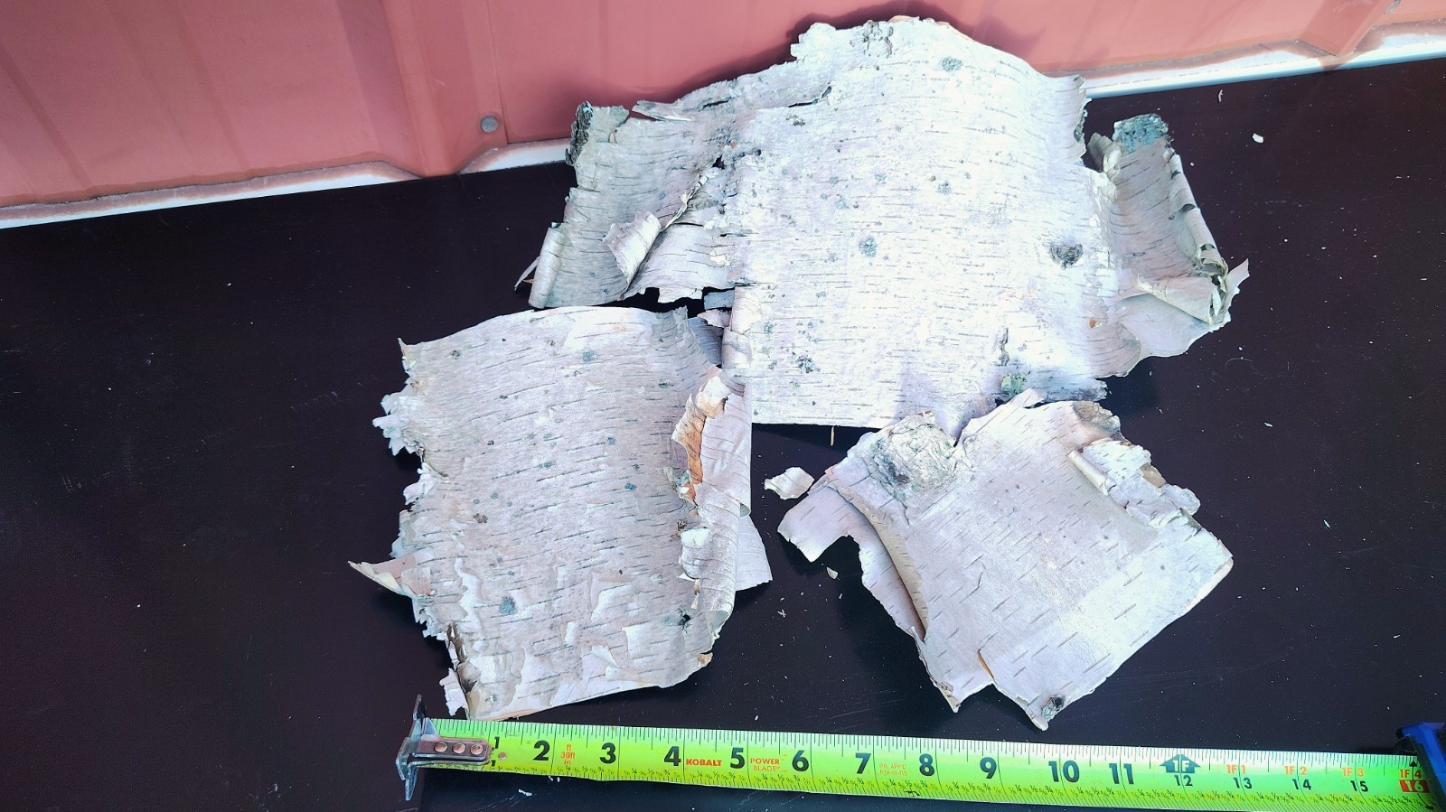 3 pieces 0f Natural White Birch Bark Sheets Crafting Holiday Decor