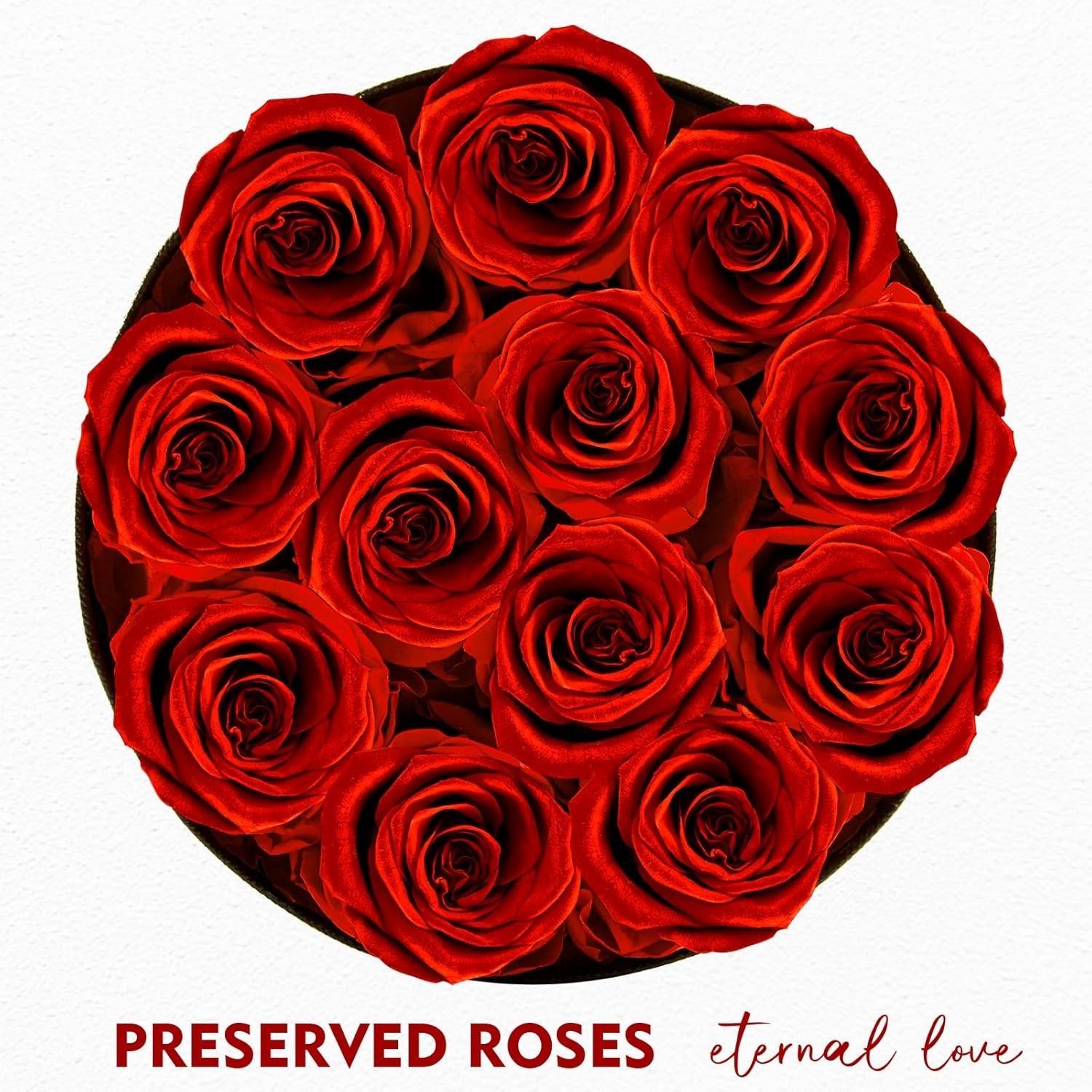 Forever Flowers,12 Red Roses in A Box, Real Preserved Roses, Birthday Gift fo…