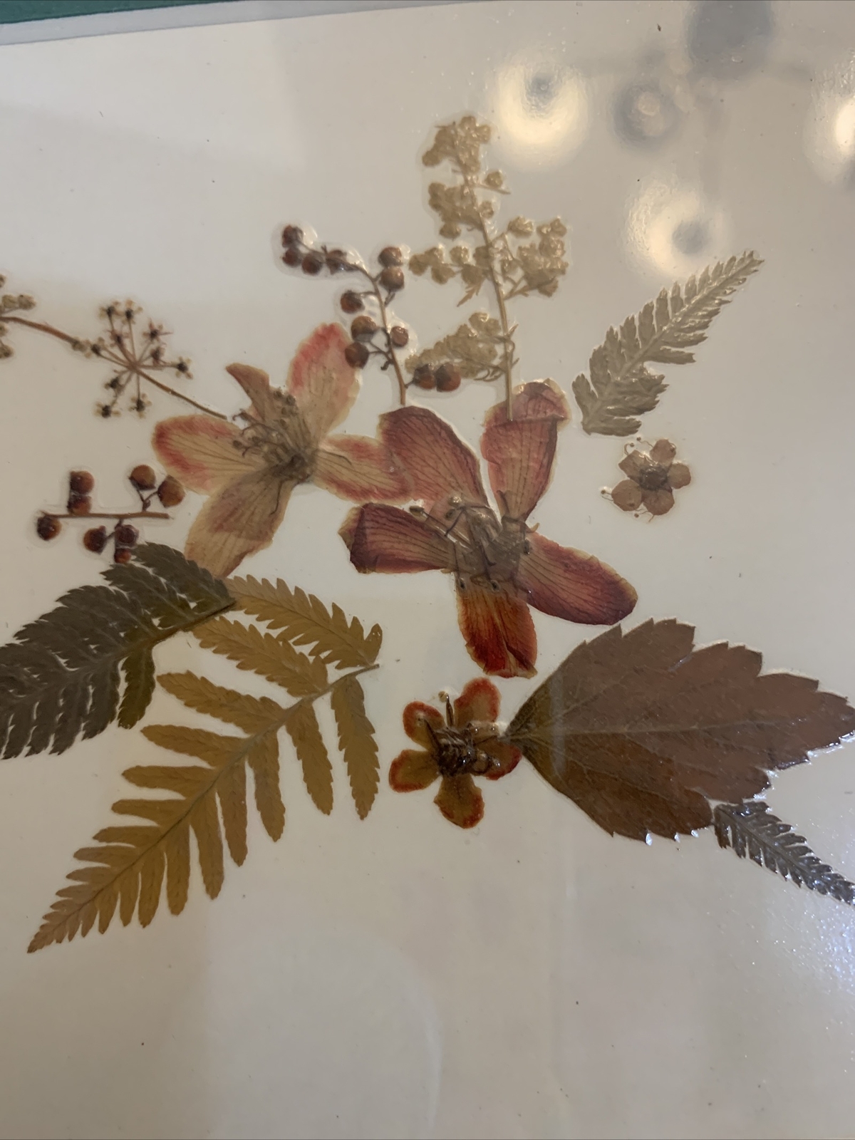 Dried Pressed Flowers Wall Hanging Art Floral Handmade Vintage Framed 9” Square