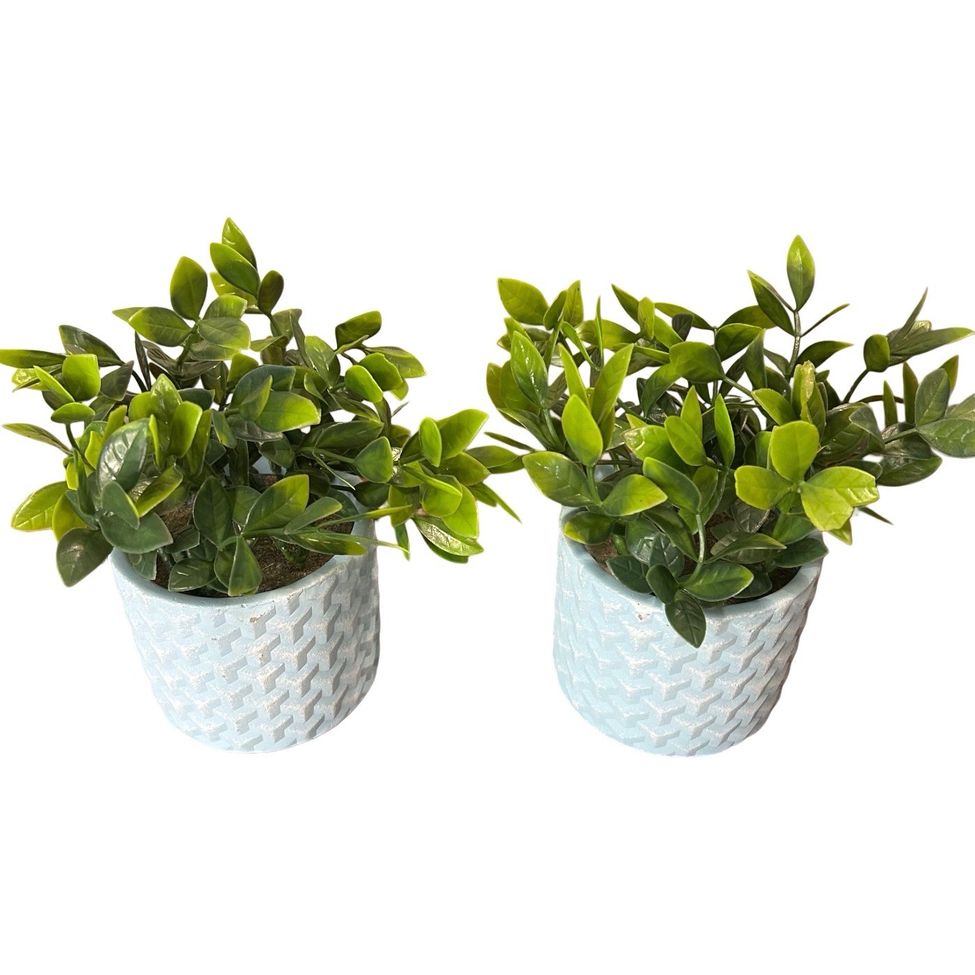 Artificial Potted Eucalyptus Plants 8” Blue Textured Ceramic Vase Set Of 2