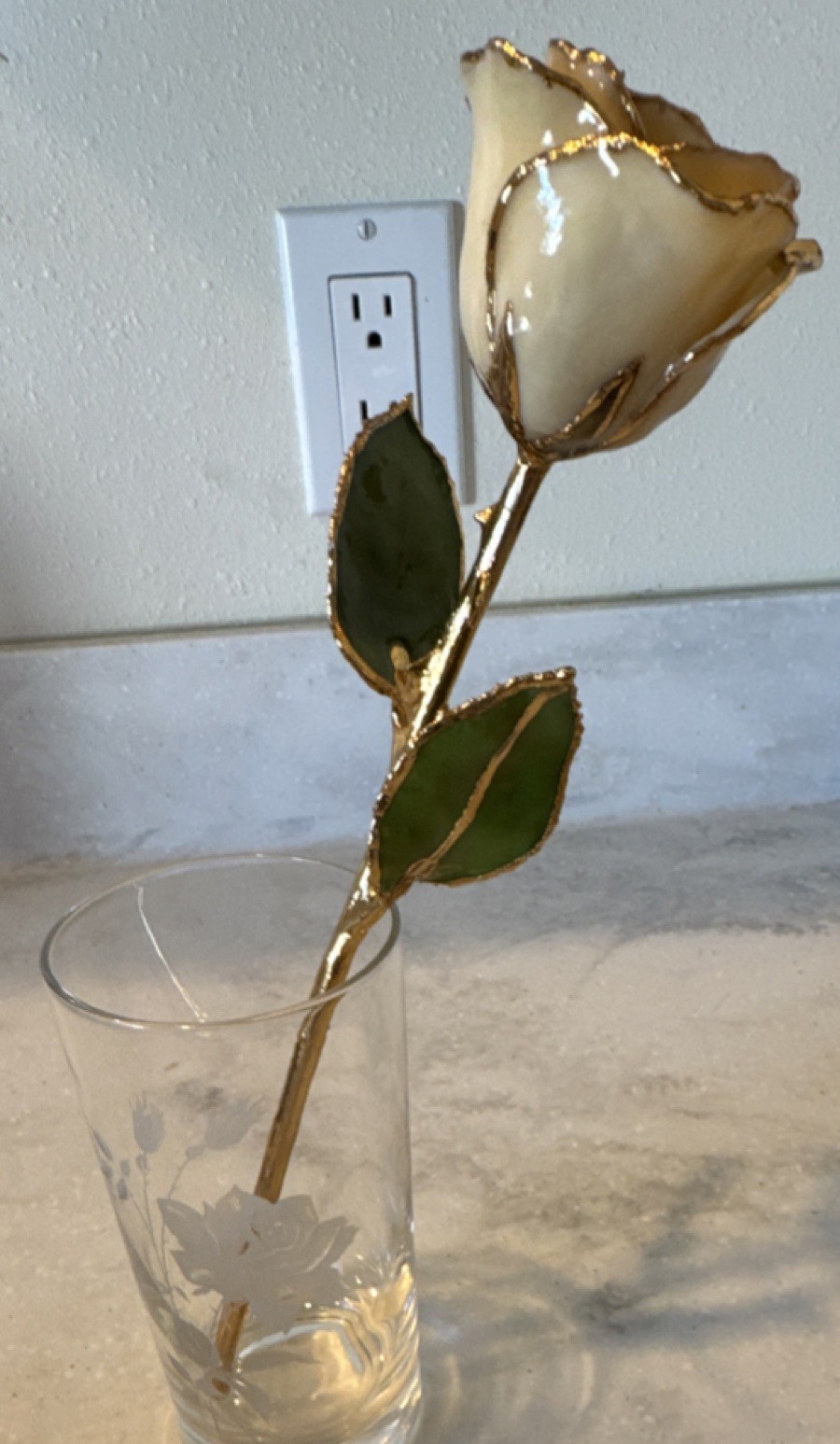 24 Karat Gold Dipped ‘Forever’ Rose