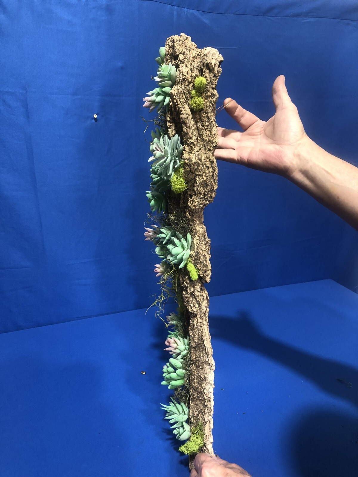 Artificial Succulent Air Plant Wall Art Home Office Mounted on Real Wood Bark