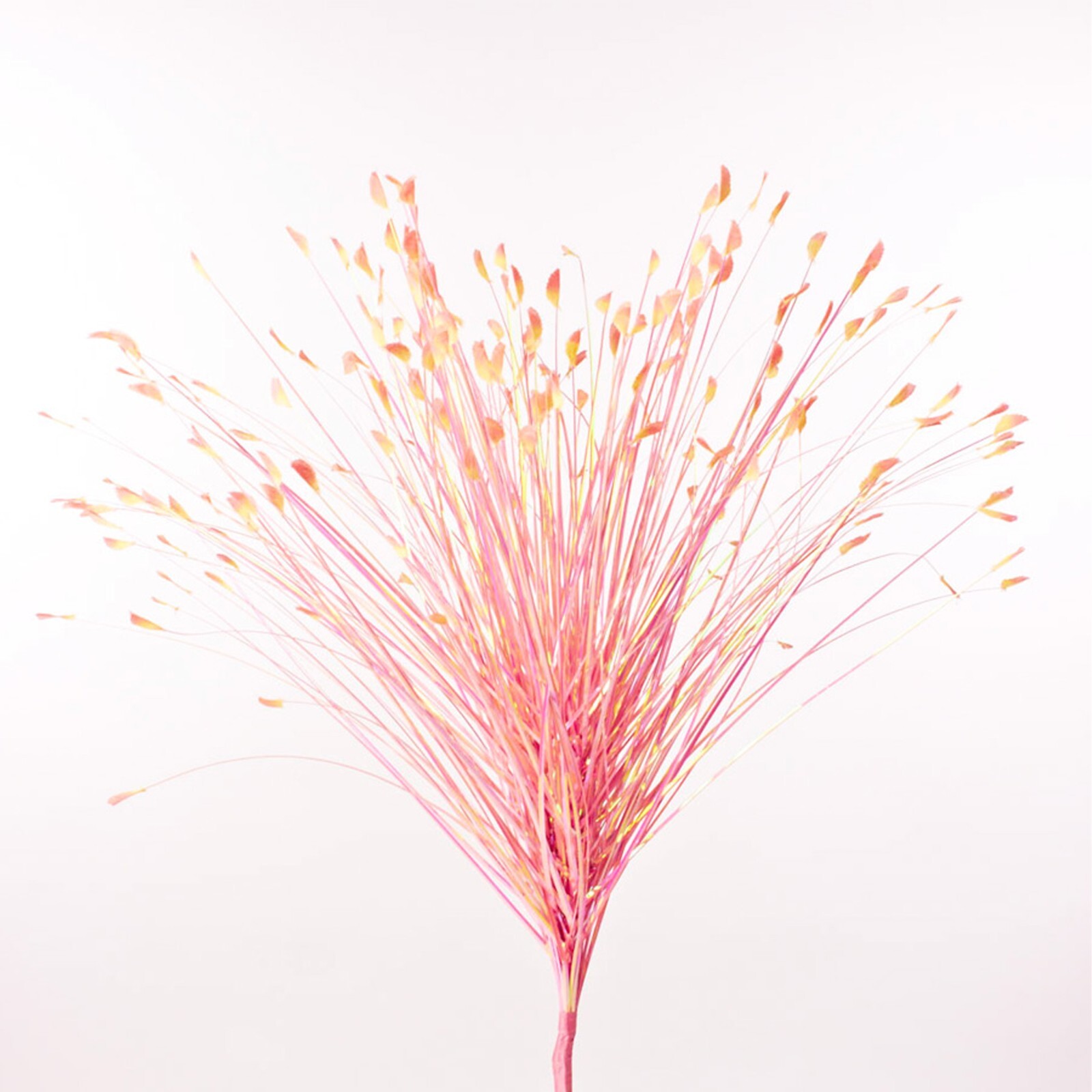 25-0110 Silky Silk Onion Grass Spray for Weddings, Birthdays, and Other Occasion