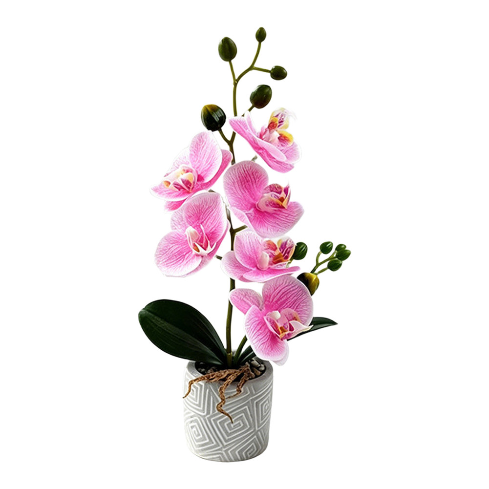 Fake Orchid Flower Plant in Cement Pot for Contemporary For Home Decoration