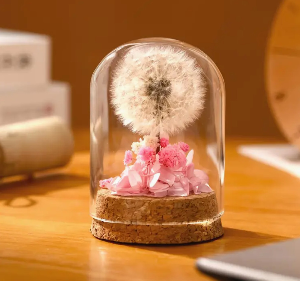 2.4×3.15 inches Mini Natural Dandelion Preserved Eternal Flower Decor Cherished