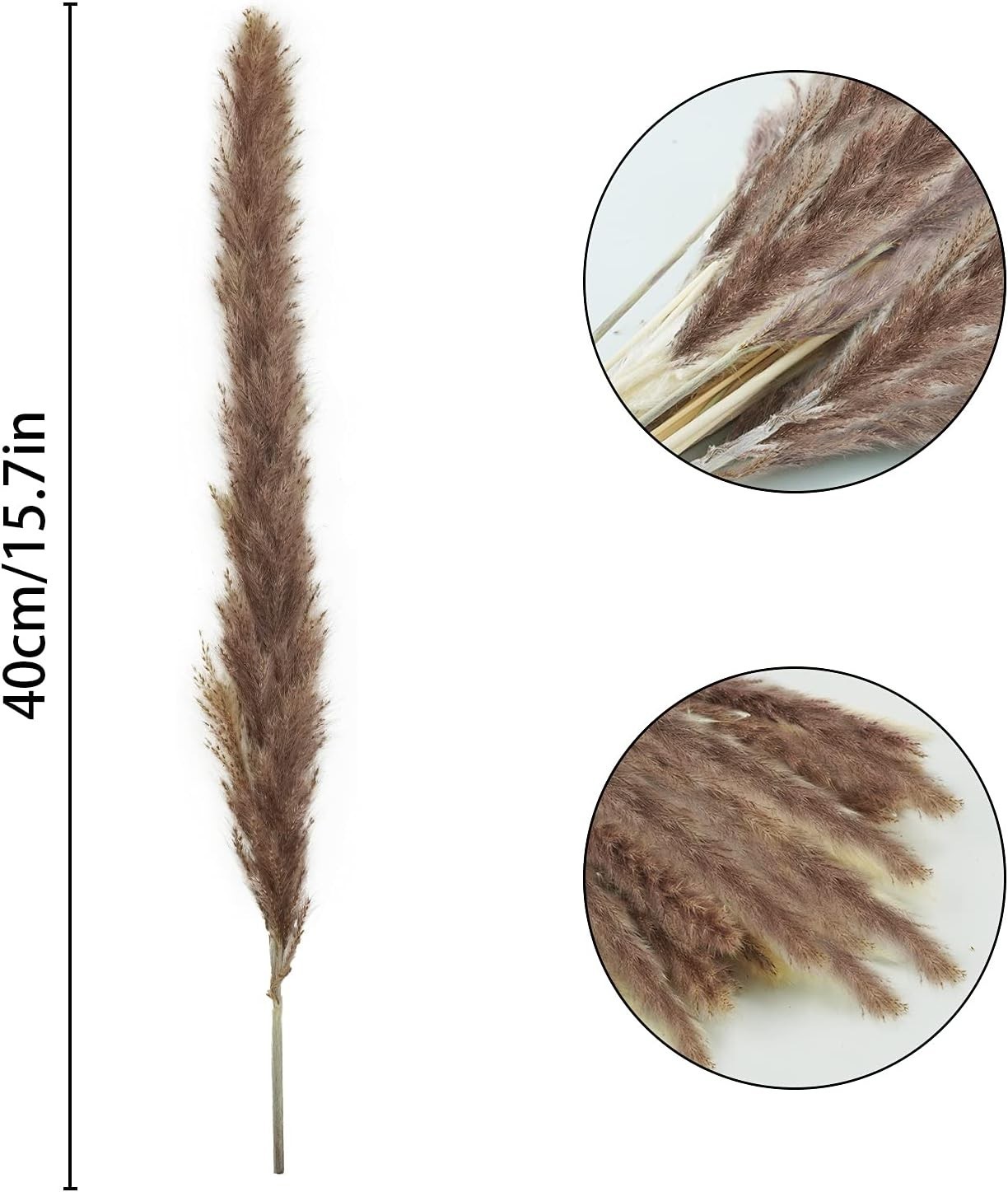 Natural 120pcs Brown Pampas Grass – Timeless Dried Flowers for Weddings & Events