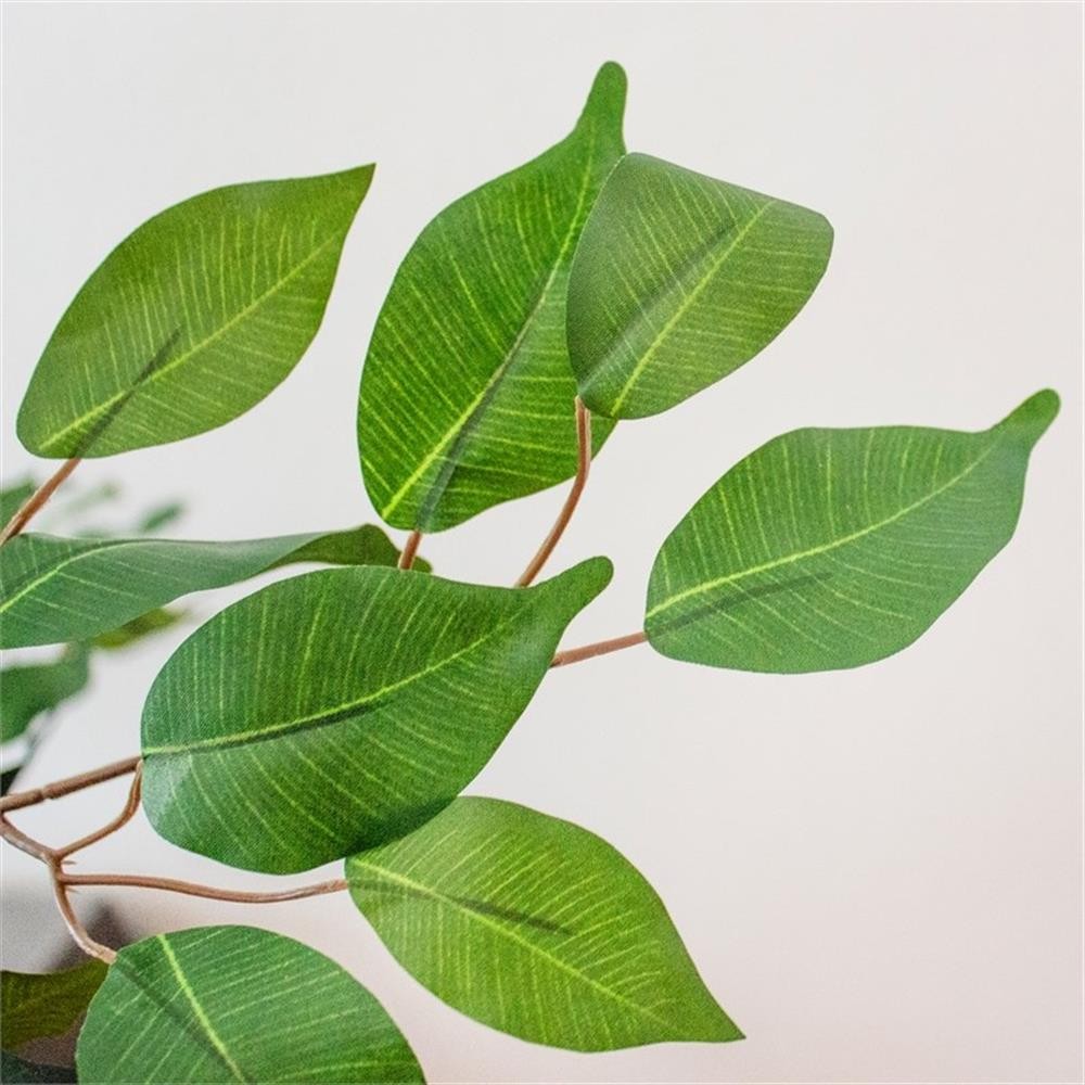 Pemberly Row 60″ Ficus Tree with Natural Wood Trunks in Green/Black