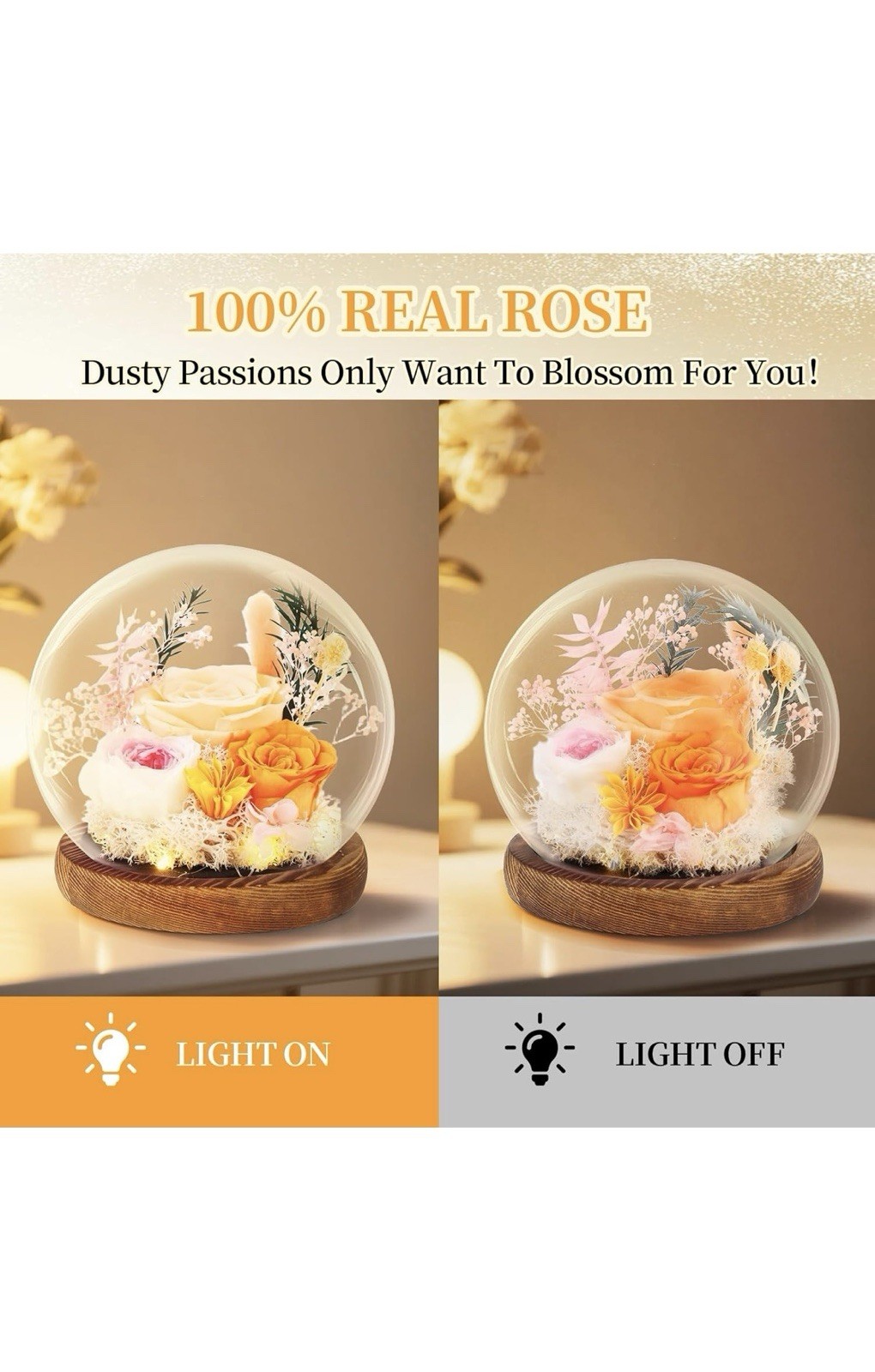 Preserved Roses Real Flowers in Glass Gifts for Women,Mom,Girlfriend,Grandma,…