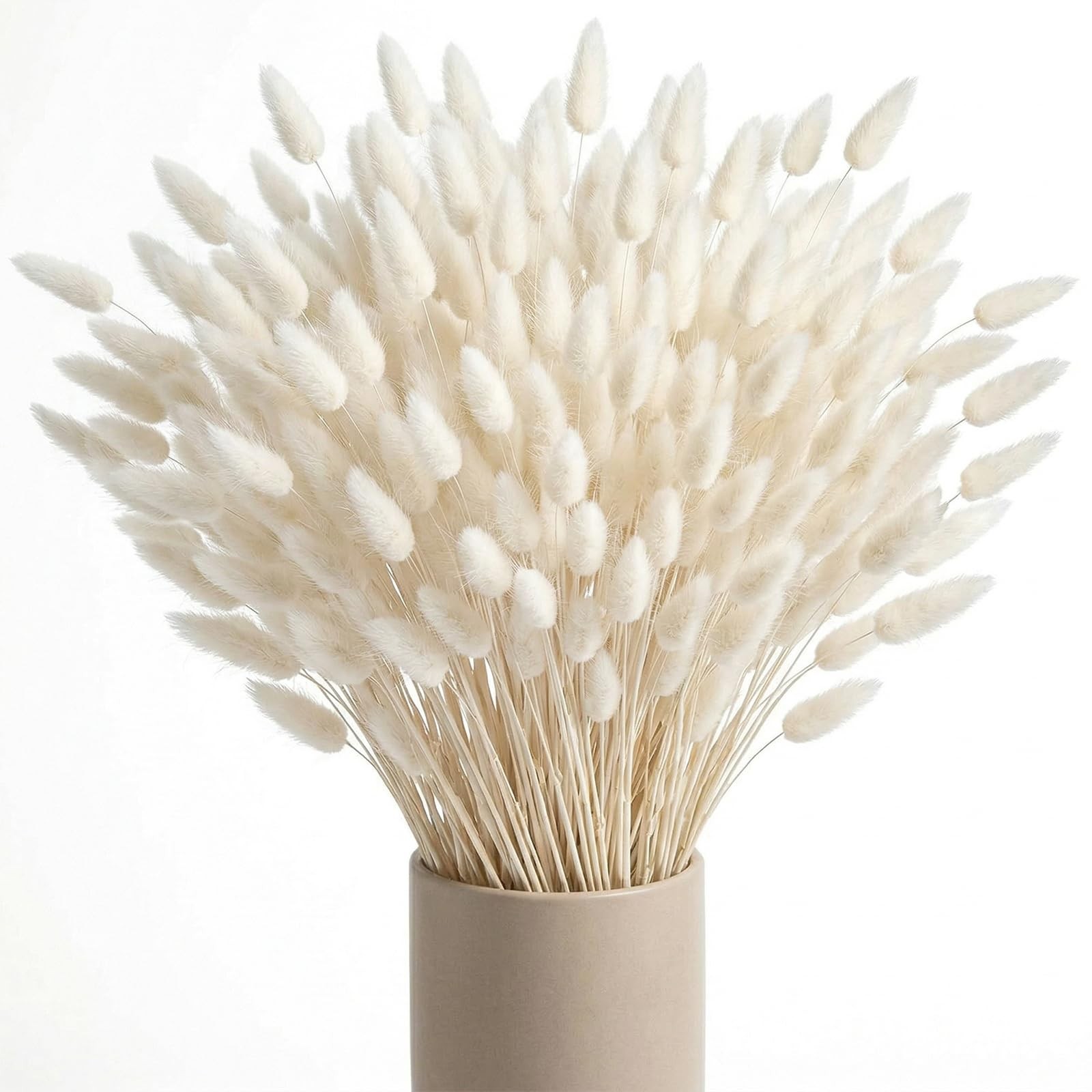 120PCS Dried Pampas Grass Decor, 17inch White Bunny Tails Dried Flowers, Bunn…