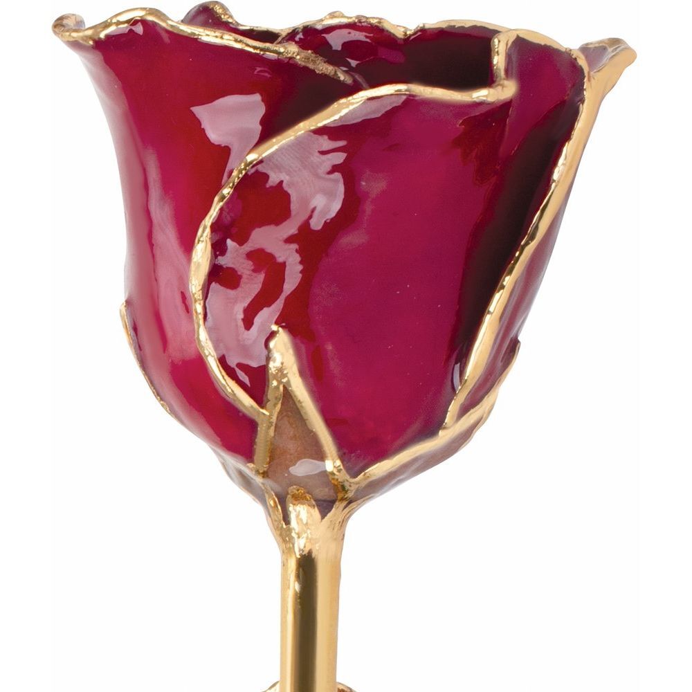24k Gold Dipped Garnet Colored Lacquer Real Rose Valentine’s Day Holiday Gift