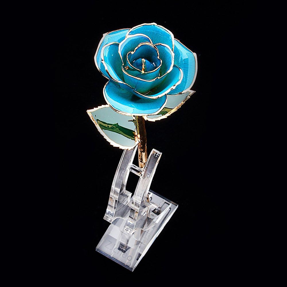 24K Rose Display Stand for 24K Gold Rose – Transparent Acrylic Flower Shelf Supp