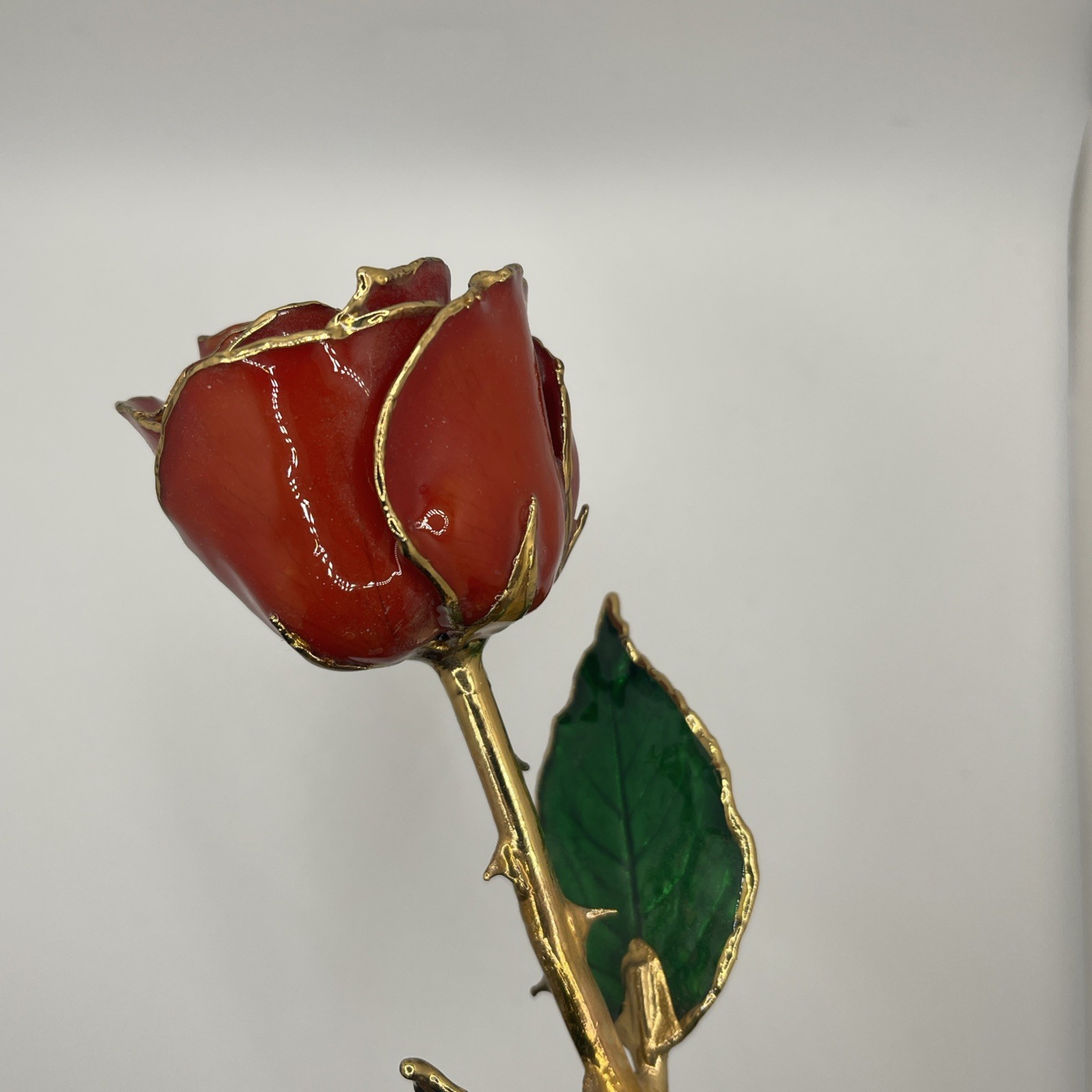 Genuine Real Rose Trimmed In 24 Kt. Gold Long Stem Rose Red Rose Green Leaves