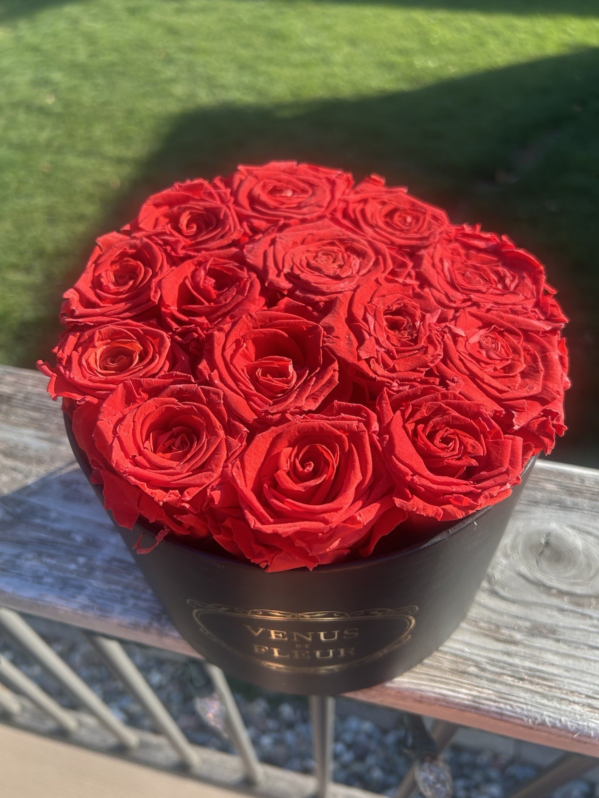 Venus Et Fleur Red Roses Flower Box Arrangement small Round Black box