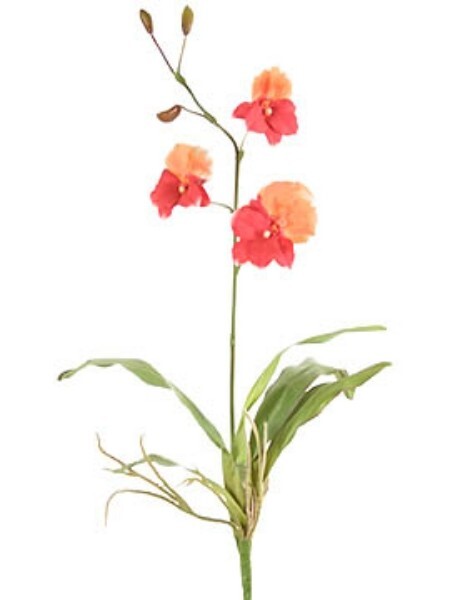 ARTIFICIAL miltoniopsis orchid plant Cream Peach