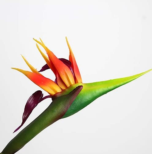 3 Pcs Large Orange Red Bird of Paradise 32 Inch Permanent Flowers,UV Resistan…