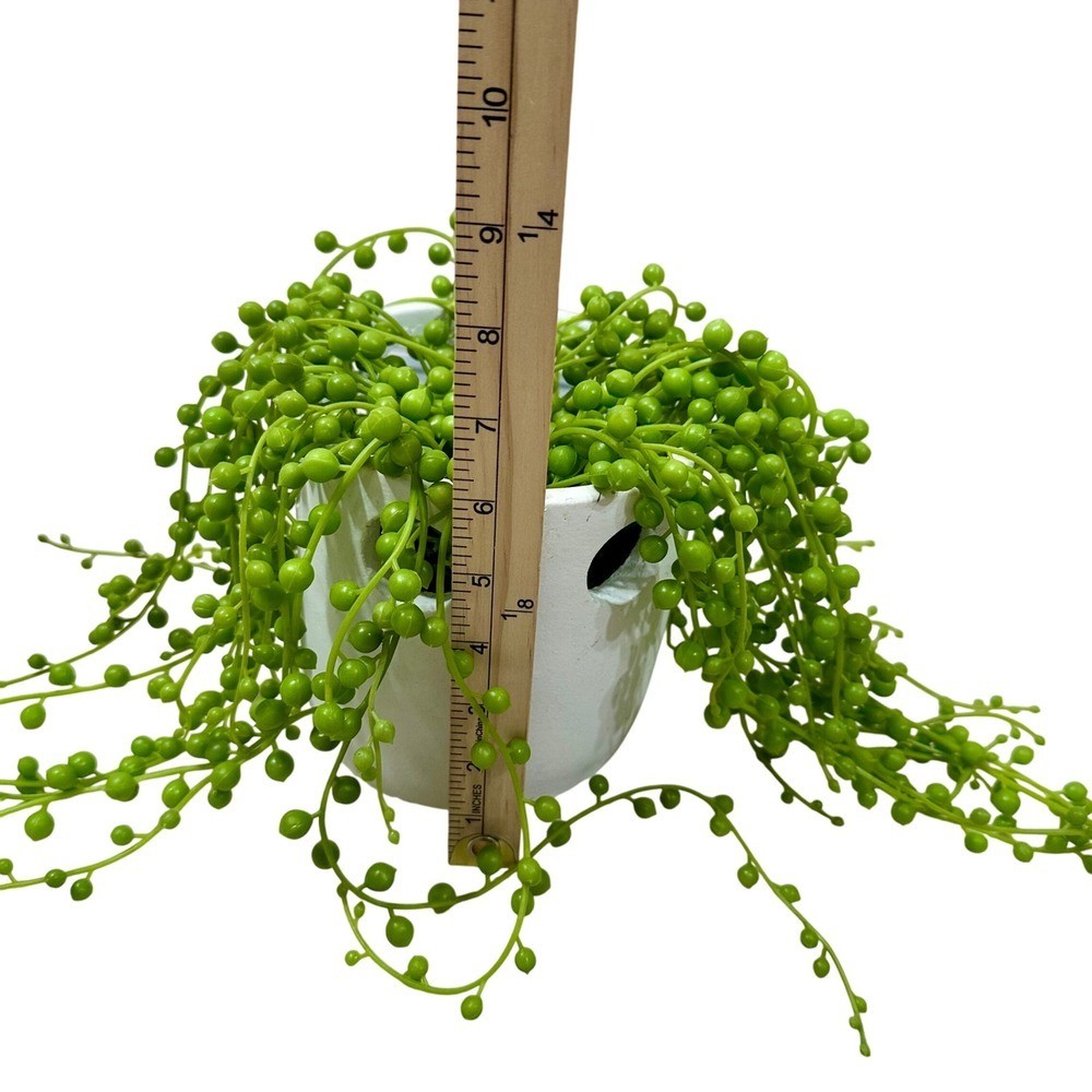 Artificial String of Pearls Faux Succulent Plant in White Ceramic Pot 18.5in
