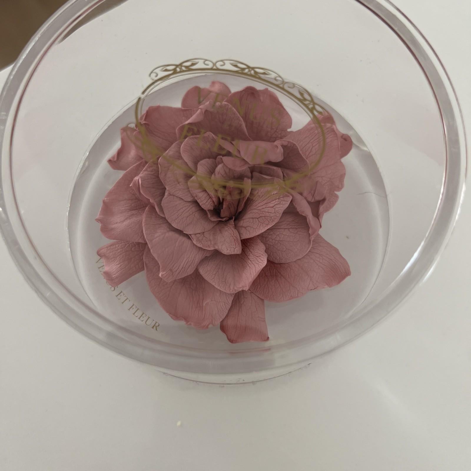 VENUS ET FLEUR | Le Clair Quinze Acrylic Circle Box W Single Eternity Pink Rose