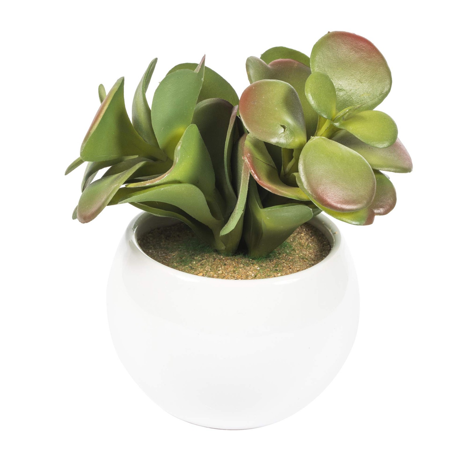 Vickerman 5″ Plastic Artificial Assorted Potted Succulents in Green/Red/Gray