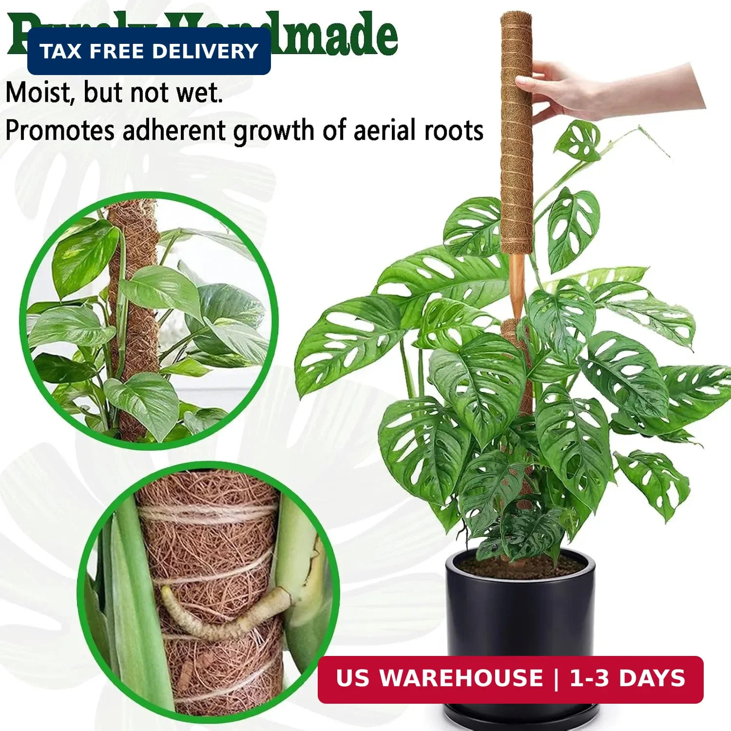 2 Pack 21 Inch Moss Poles, Stackable Moss Pole for Plants Monstera, 37 Inch Tall