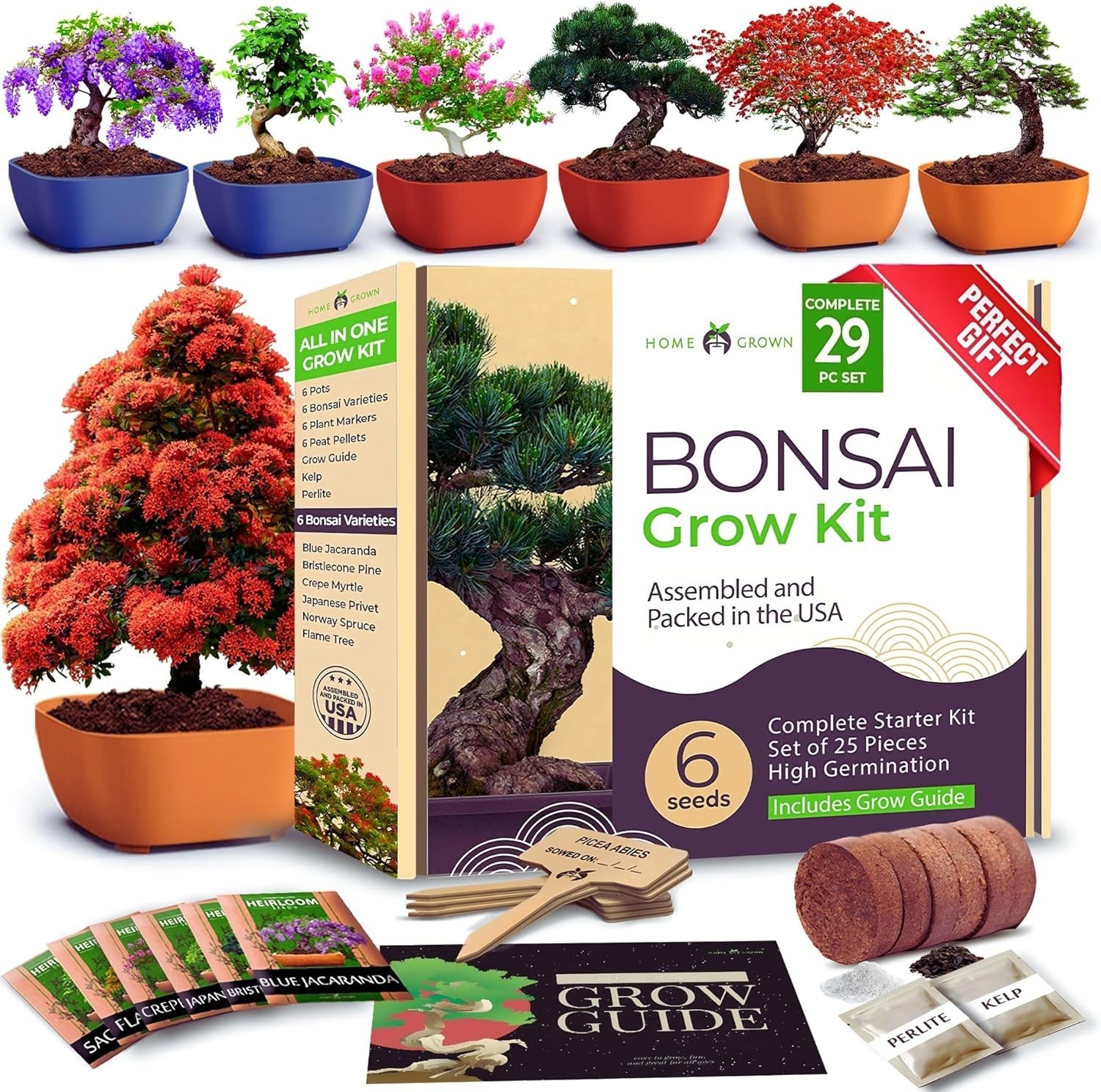 HOME GROWN 𝗨𝗦𝗔 Bonsai Tree Kit – 6 Heirloom Varieties Master