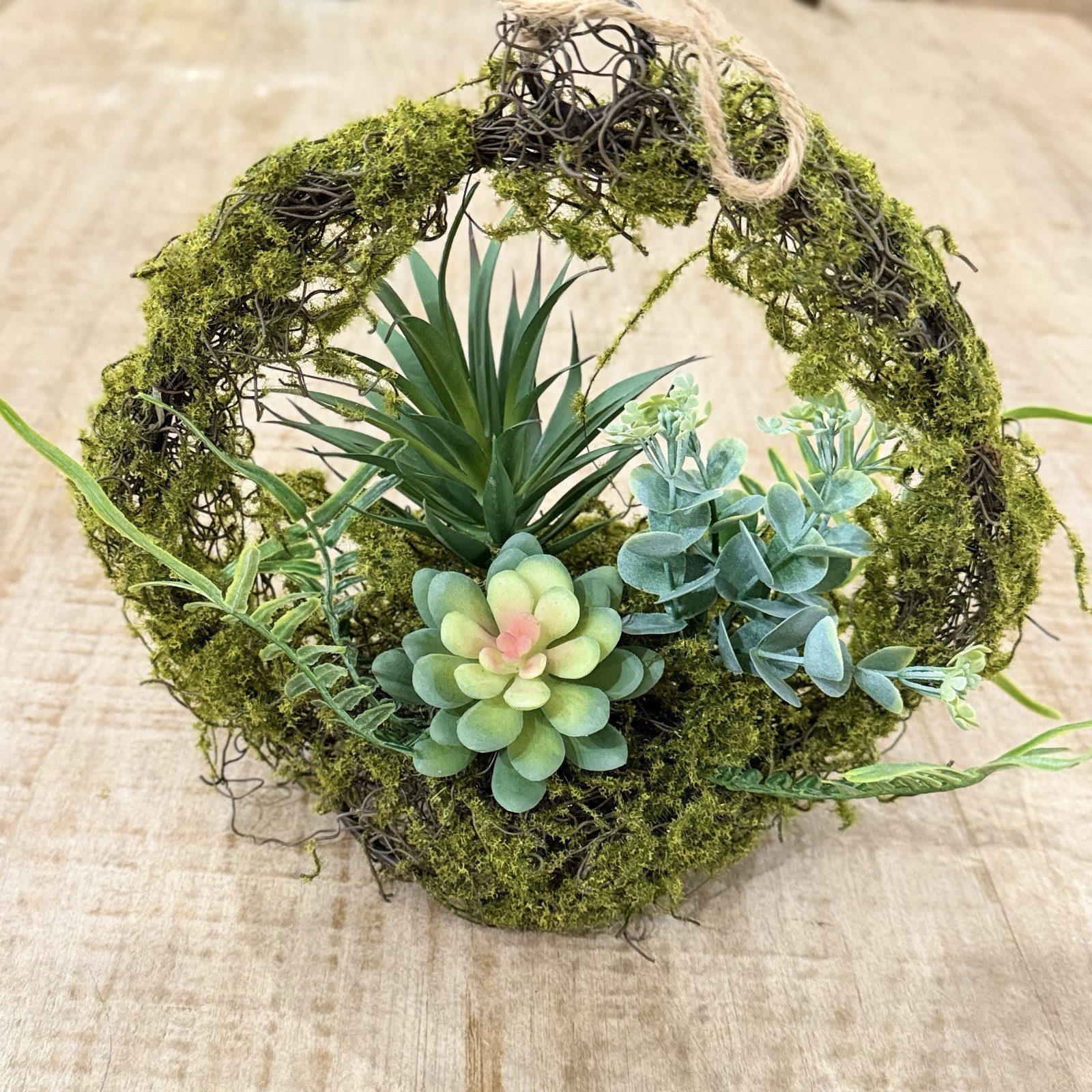 Artificial Succulent & Moss Hanging Wall Wreath Arrangement, Green Plastic 6×6″