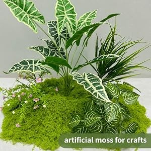 Fake Moss for Plants Indoor, 7OZ Dual-Color Artificial Moss for Crafts,