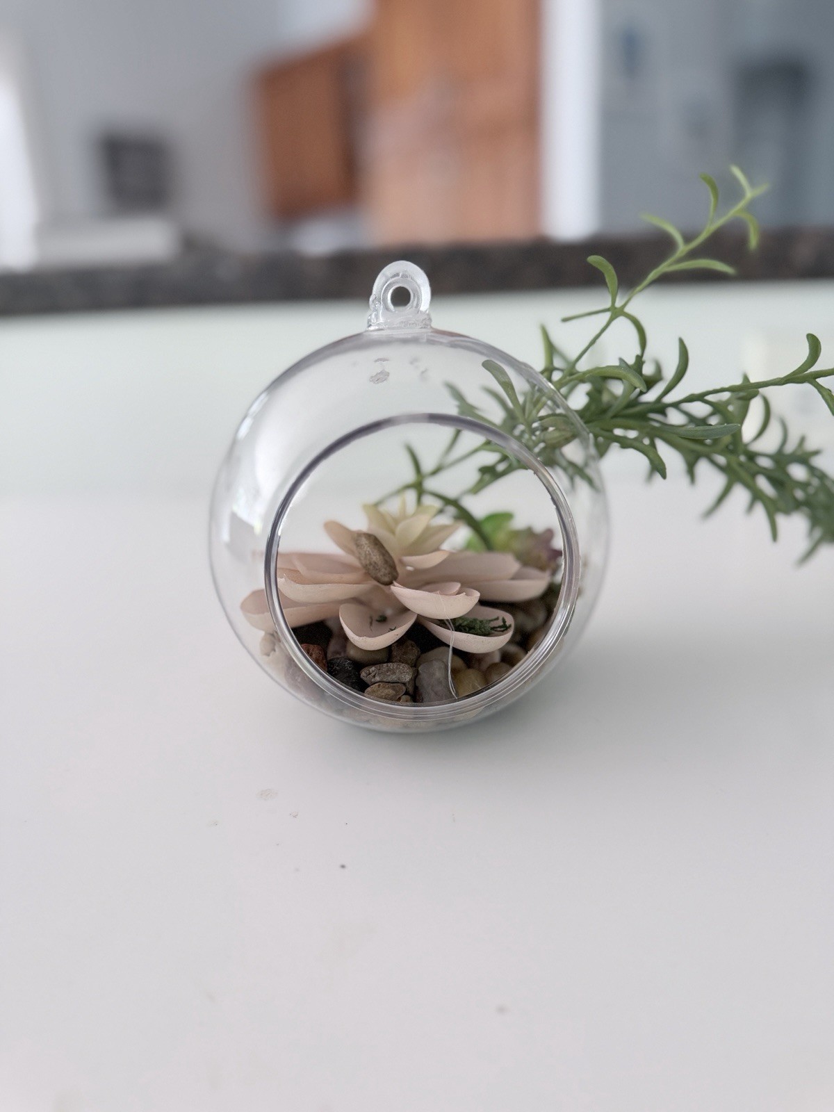 Clear Plastic Containers With Faux Plants With Rocks
