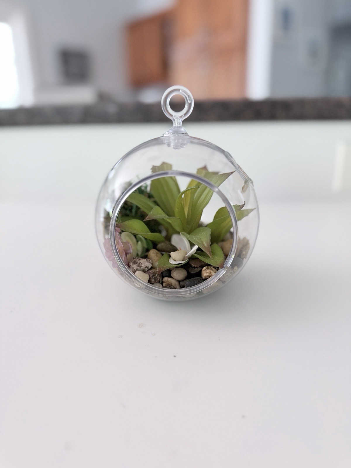 Clear Plastic Containers With Faux Plants With Rocks
