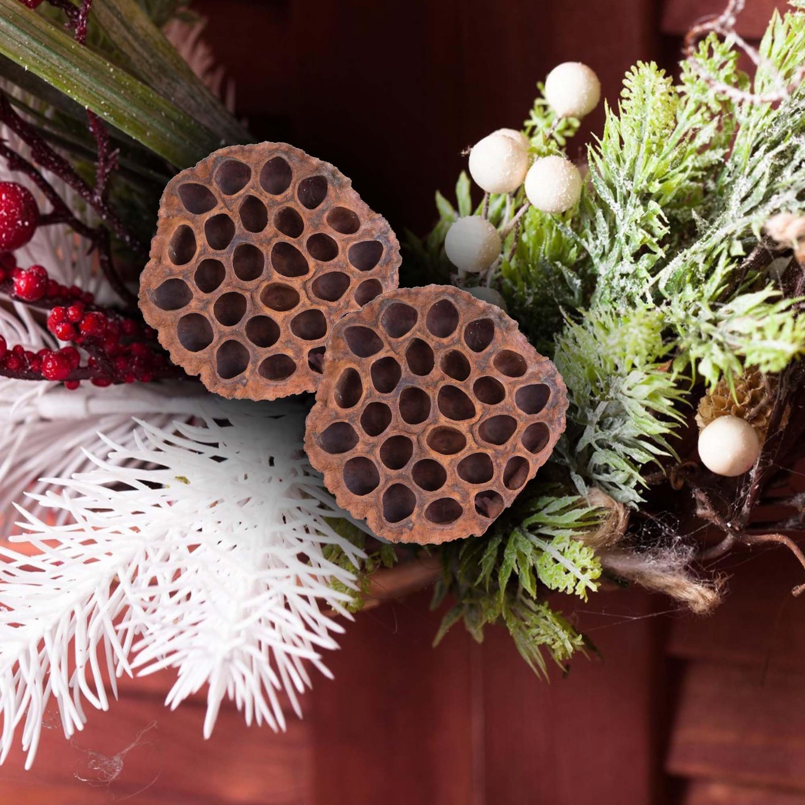 Dried Lotus Pods Pack of 25 Pods for Floral Arrangement and Home Decor,Natura…