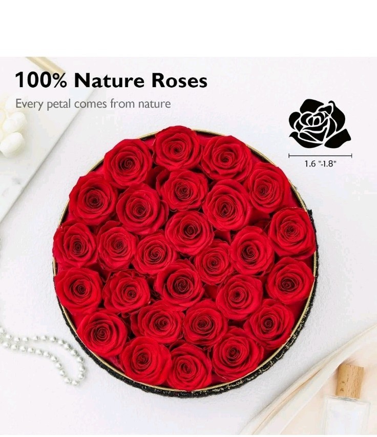Eterfield Forever Flowers 27-Piece Preserved RED Roses in Round Gold Black Box