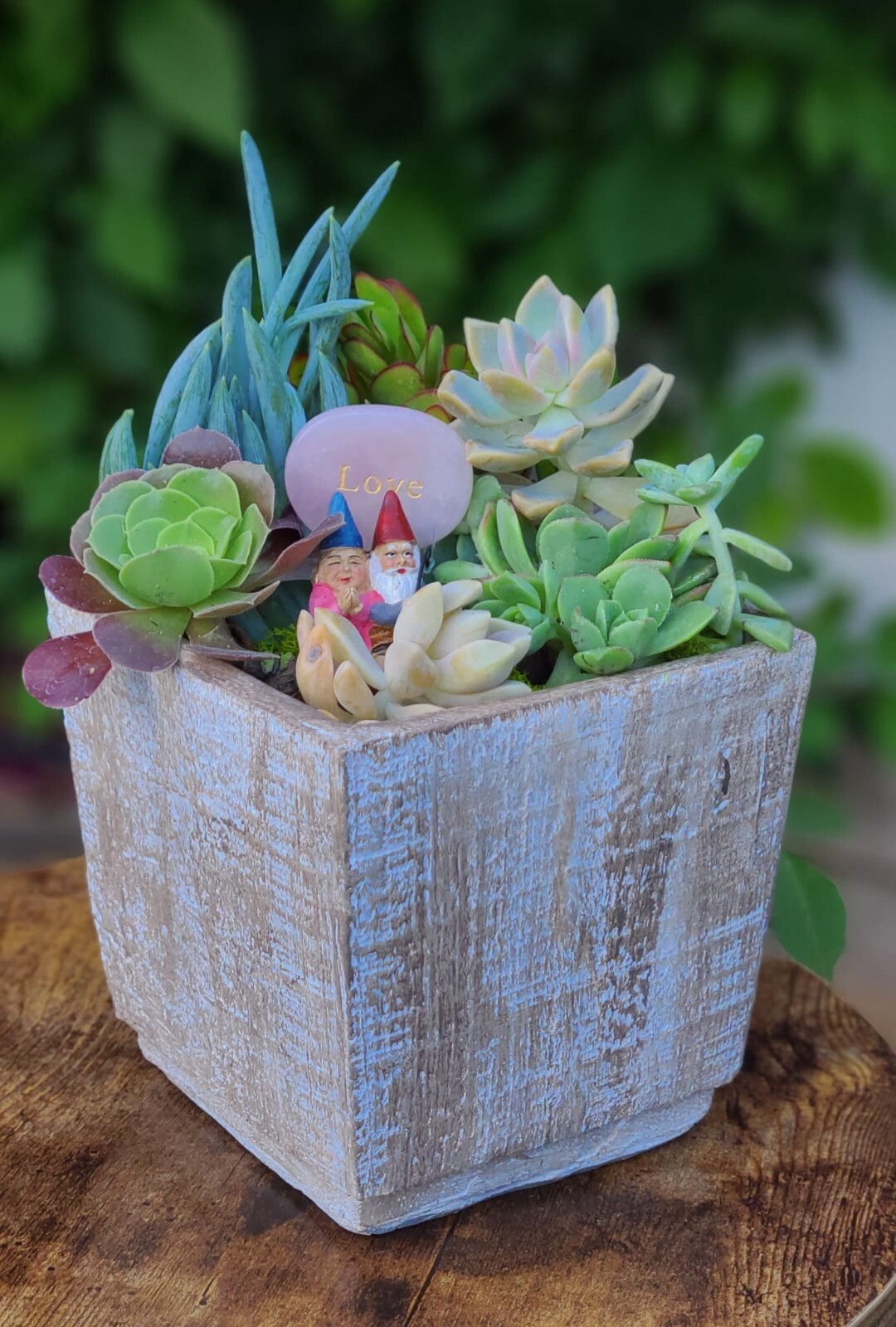 Mini Zen Garden with Natural Succulents + crystals for the Interior of the Home