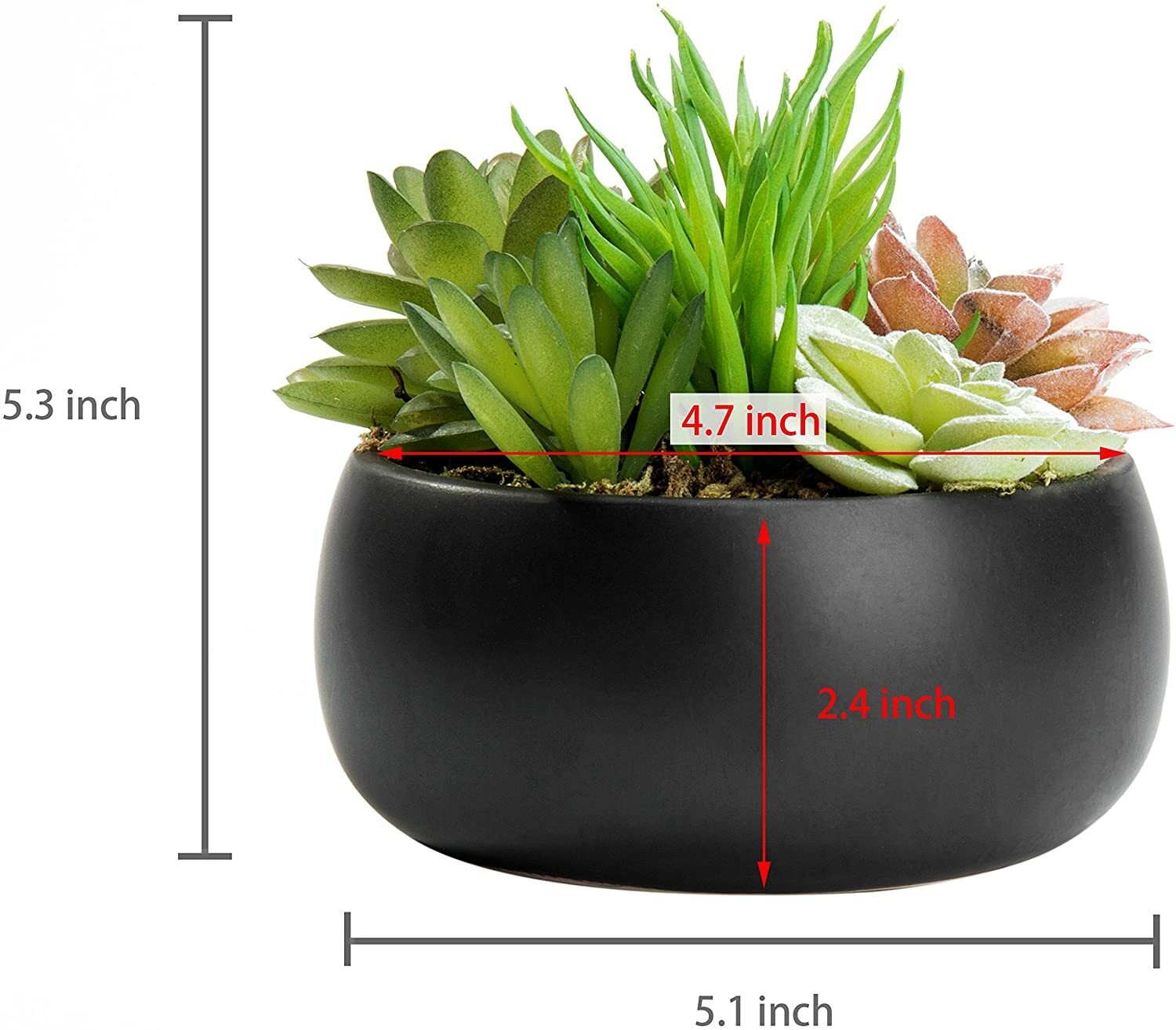 Mini Artificial Succulent Arrangement in Black Ceramic Planter Bowl Assortment 3