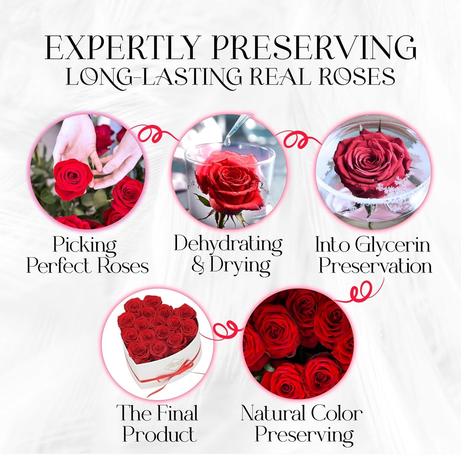 Preserved Roses in a Box Gifts Her Wife & Mom Rose Flowers Forever Decor