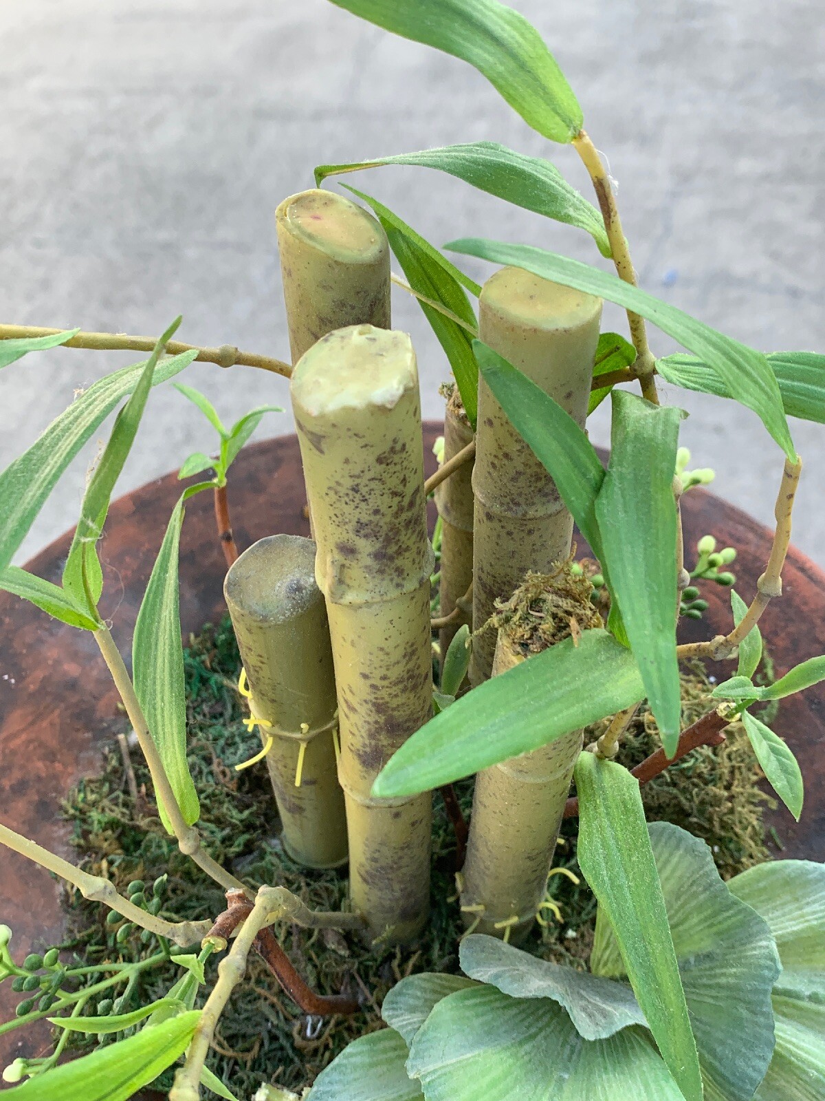 Vintage Rustic Stone Pot & Bamboo Terrarium Table Arrangement Floral 11″ ❤️sj3j