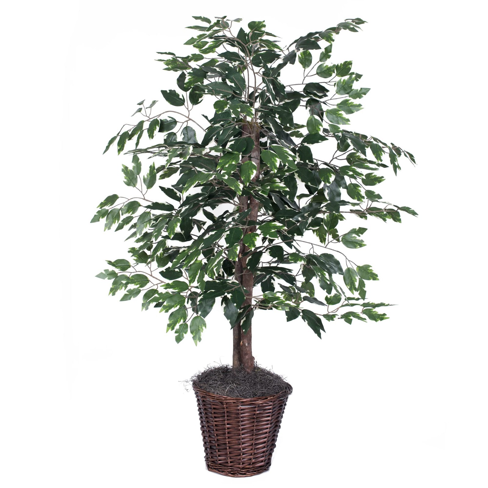 Pemberly Row 4′ Artificial Variegated Ficus Bush w/ Rattan Basket in Green/White