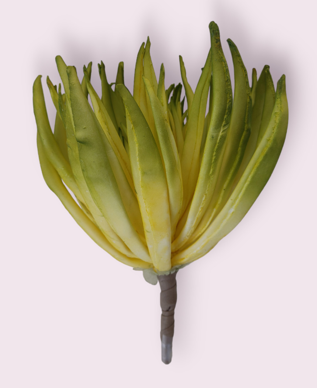 SUPER LIFELIKE ~ 6″ SUCCULENT CACTUS Artificial Plant Unpotted Faux Pick