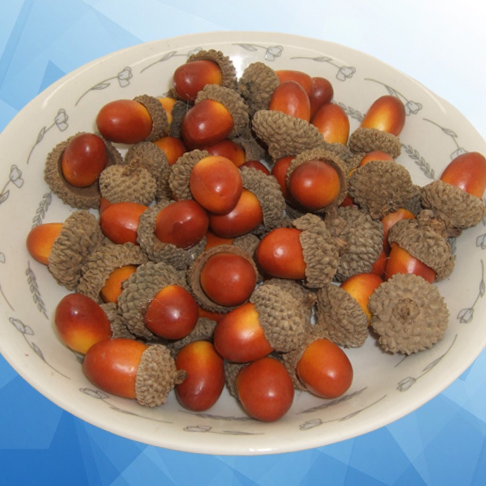 Realistic Fake Acorn Ornament Set of 50 for Home Decoration and Photo Props
