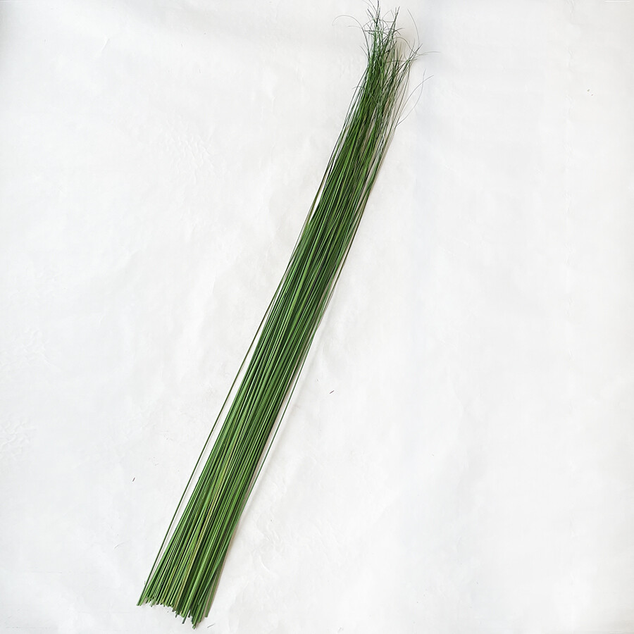 Wispies Pack of 100 Stems 4-5ft Green