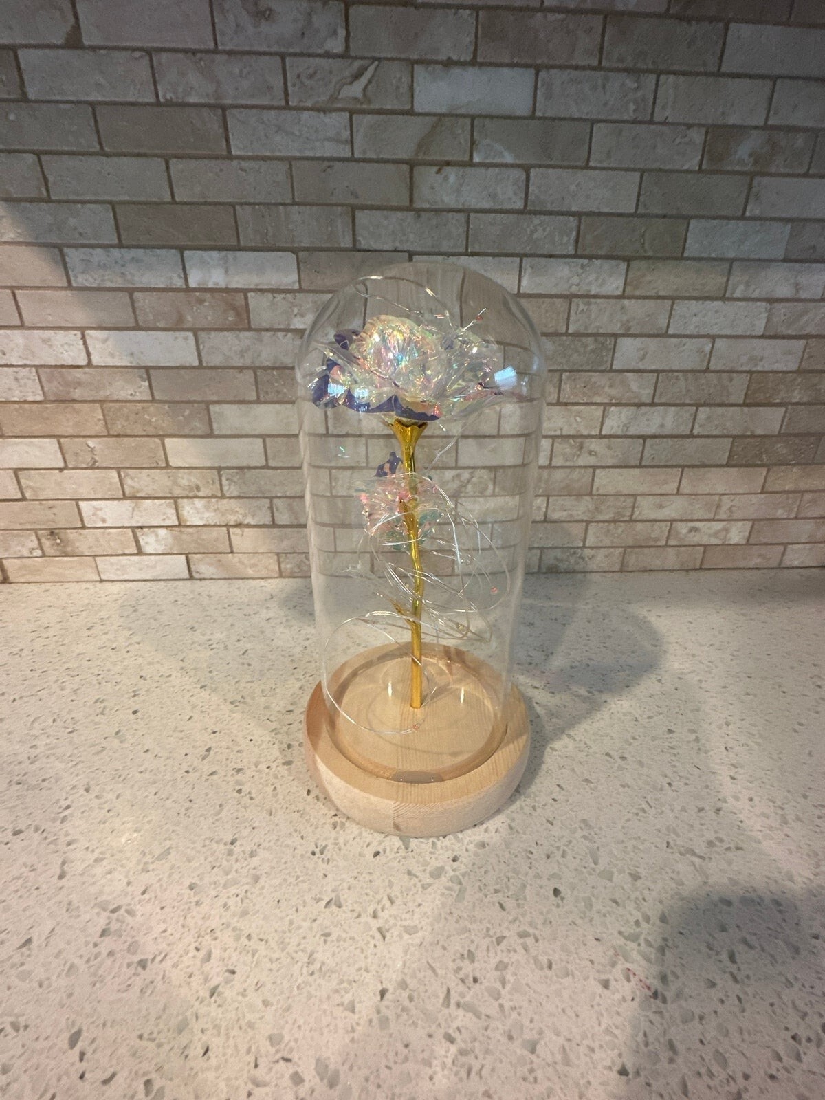 Gifts for Her Galaxy Rose