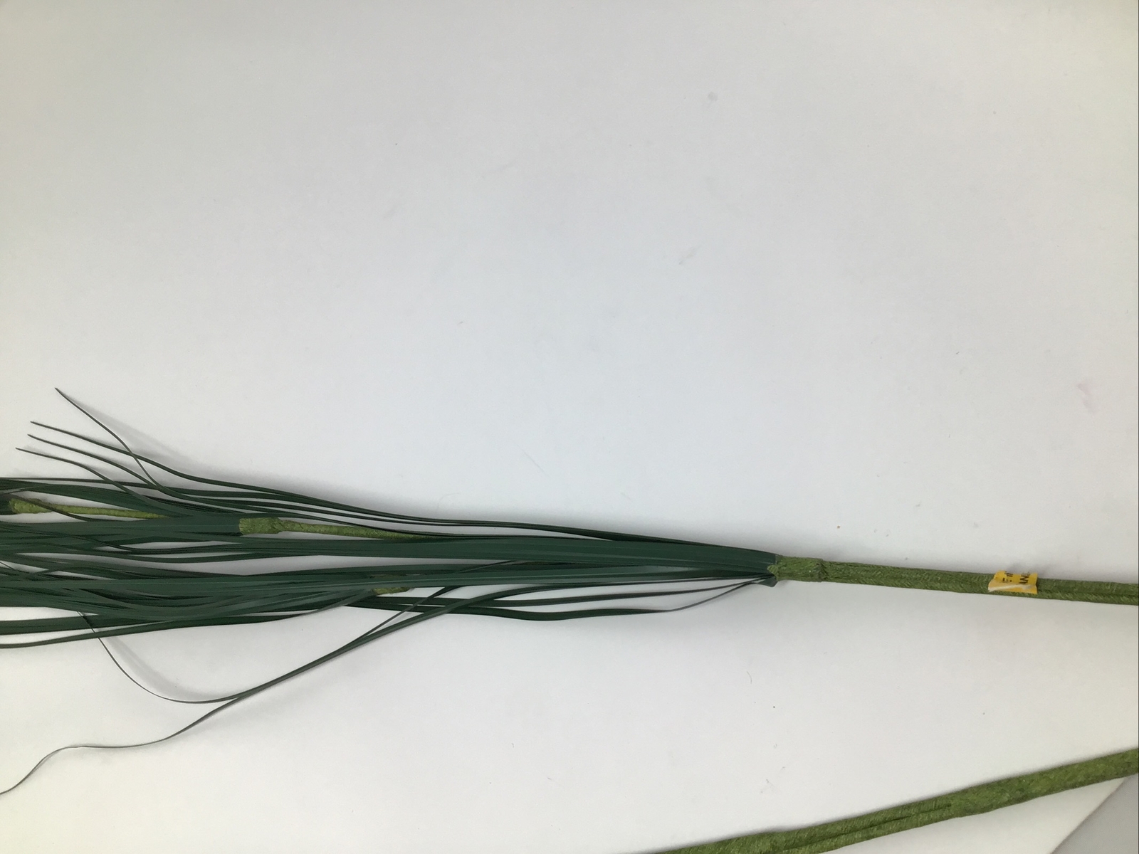 Onion Grass Floral Pick 34” Vase Basket Filler 2 Picks Vintage