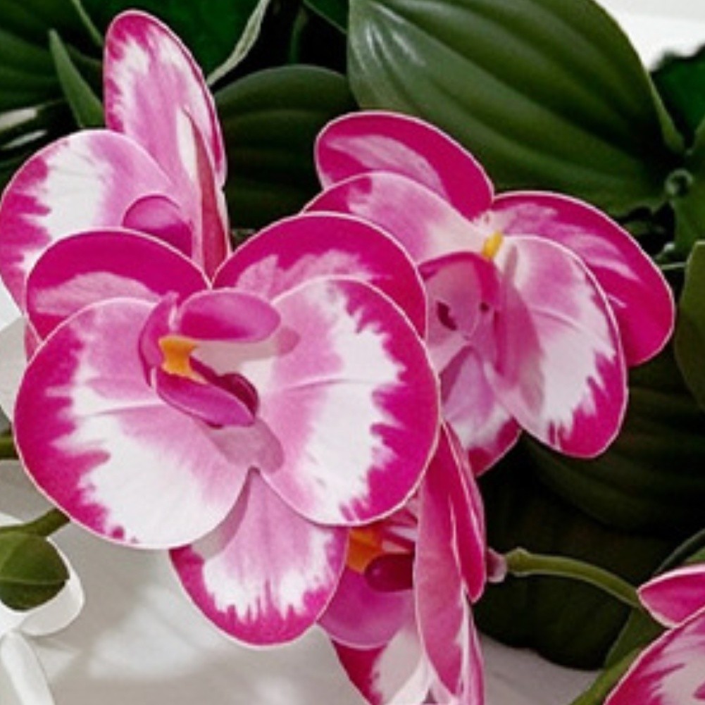 Imitation Orchid Plant with 6 Blooms 6 Leaves in Pot 26cm Indoor Decor
