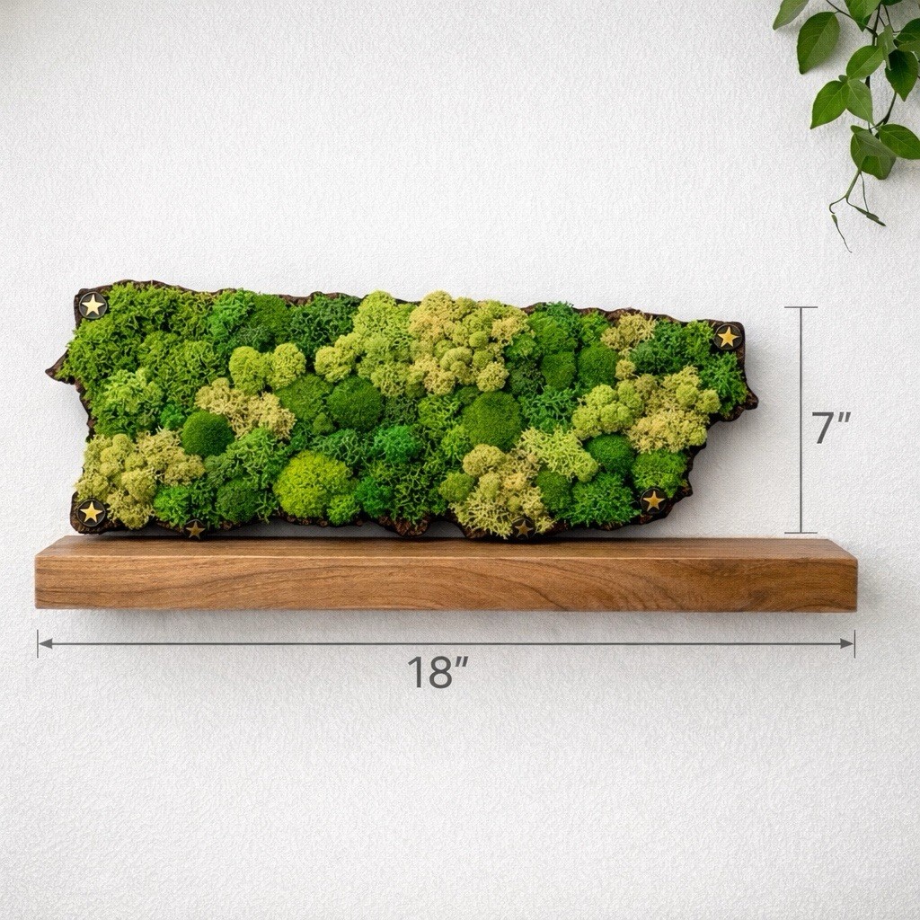 Puerto Rico Moss Wall Art Map · Preserved Moss Handmade Botanical 18” x 7”