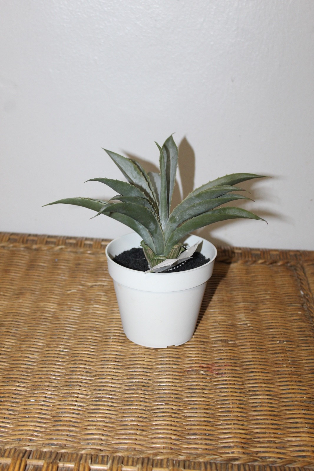 Williams Sonoma Artificial Potted Aloe.
