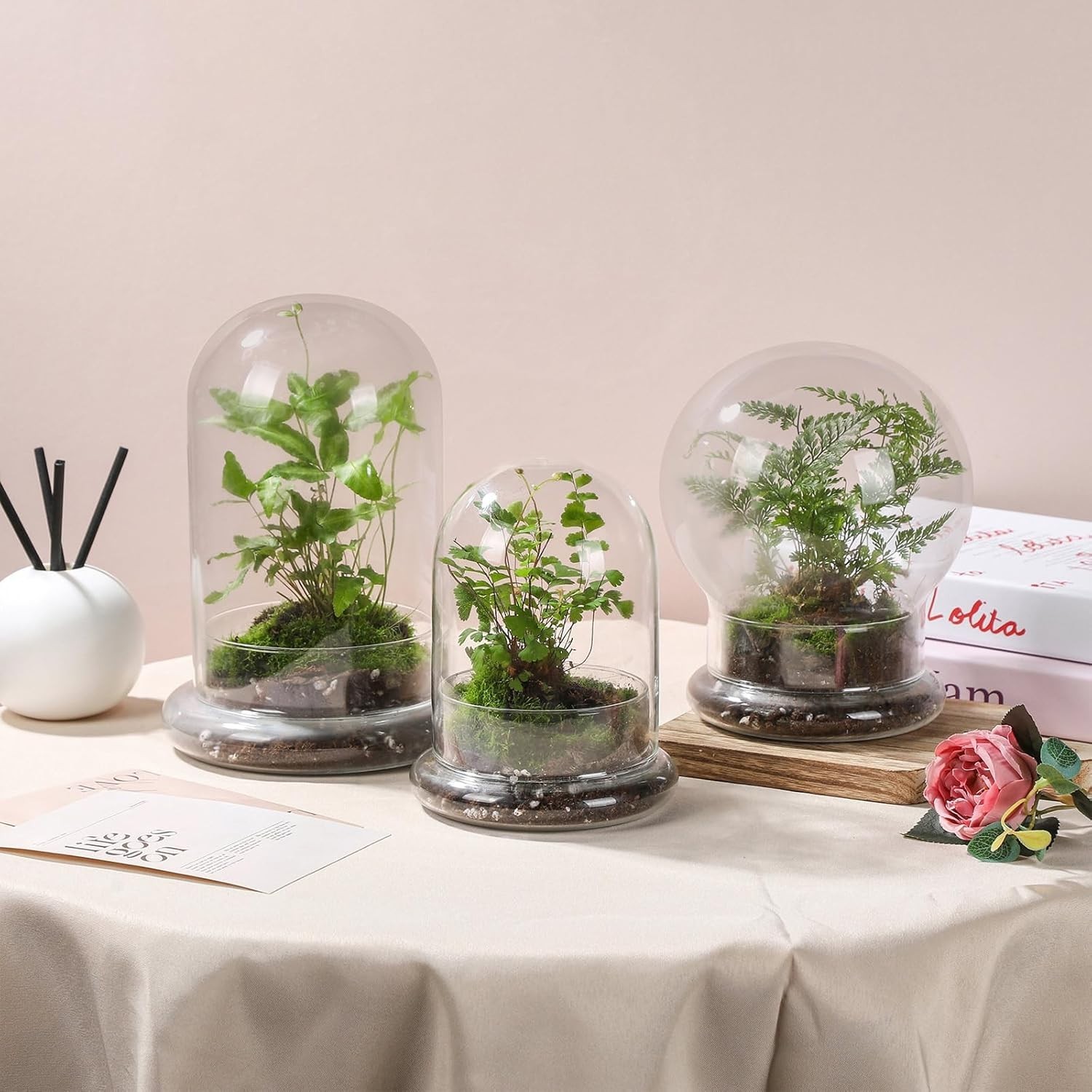 Versatile Glass Terrarium Dome with Base – Ideal for Home and Office Decor