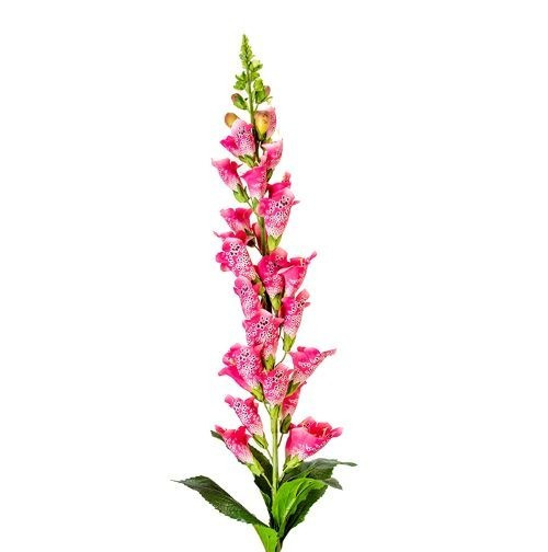 Artificial gorgeous foxglove stems REAL TOUCH