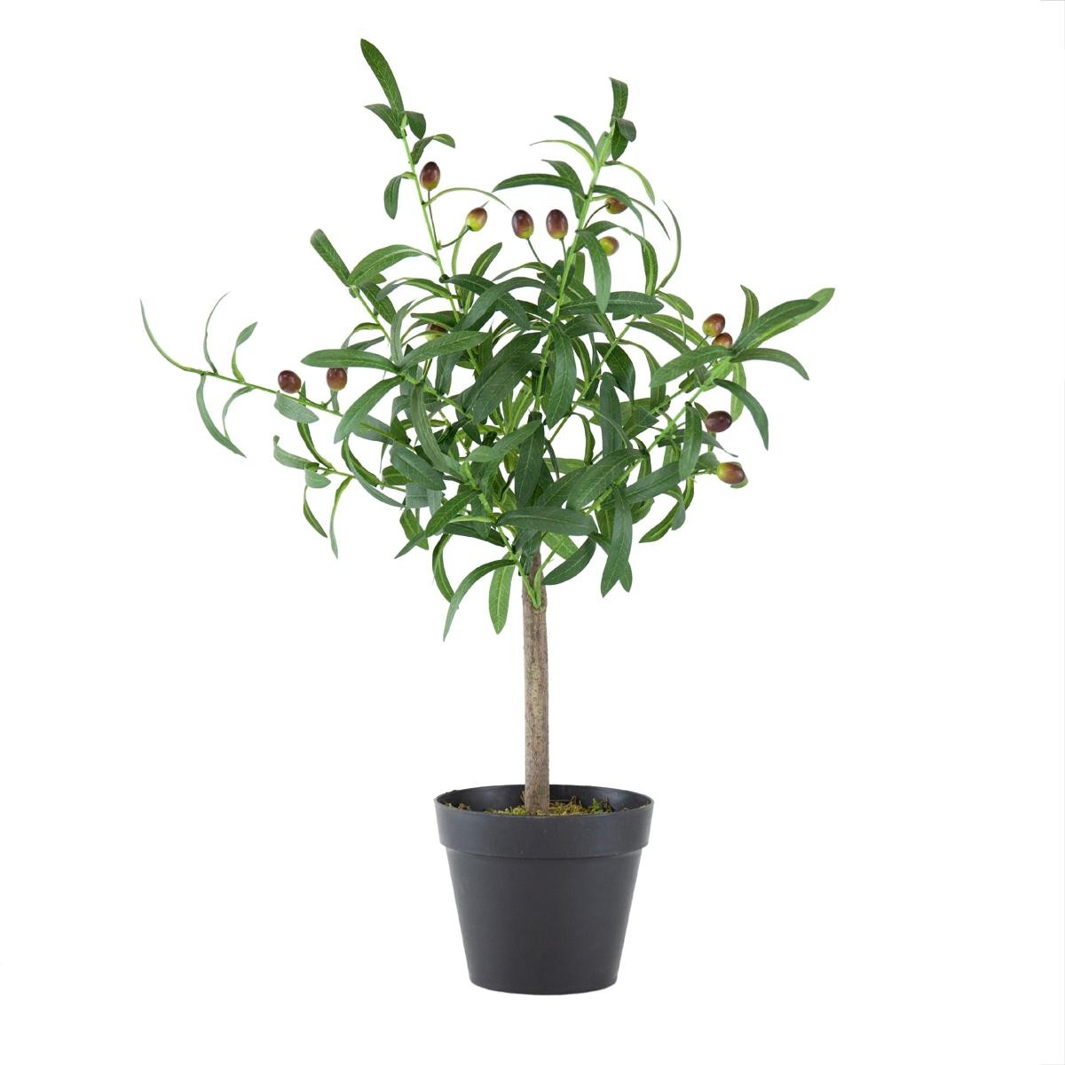 A&B Home 420022-AB Olive Tree Green and Black Faux Plant