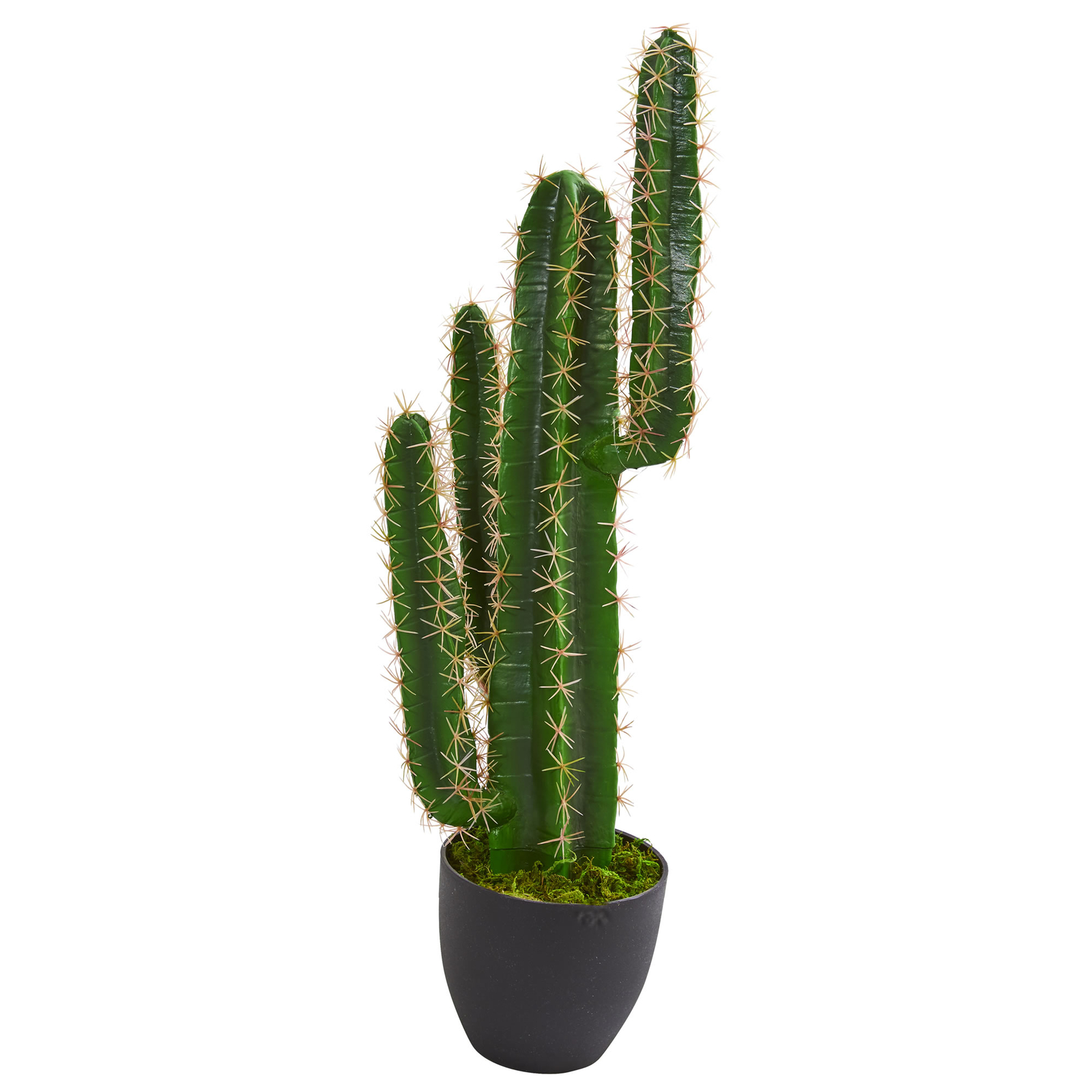 Cactus faux Plant Realistic Natural 2.5’ Decor
