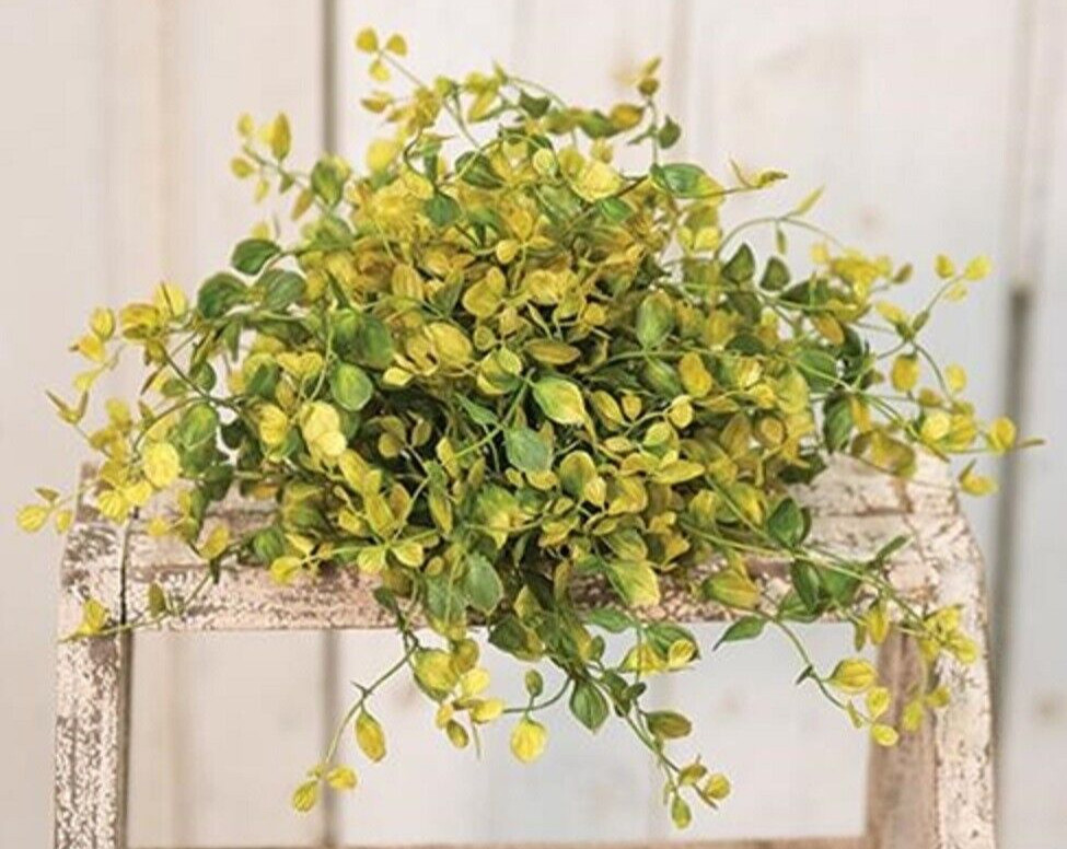 NEW Primitive BOG PIMPERNEL HALF SPHERE Green Old Gold Olive Summer 12″ W