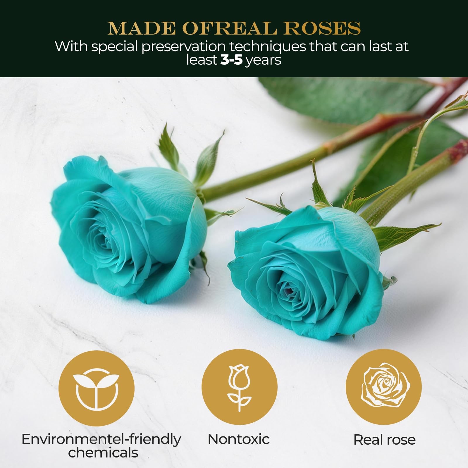 Laladeyek Preserved Real Roses with LED Light in Glass Dome, Perfect LongLast…