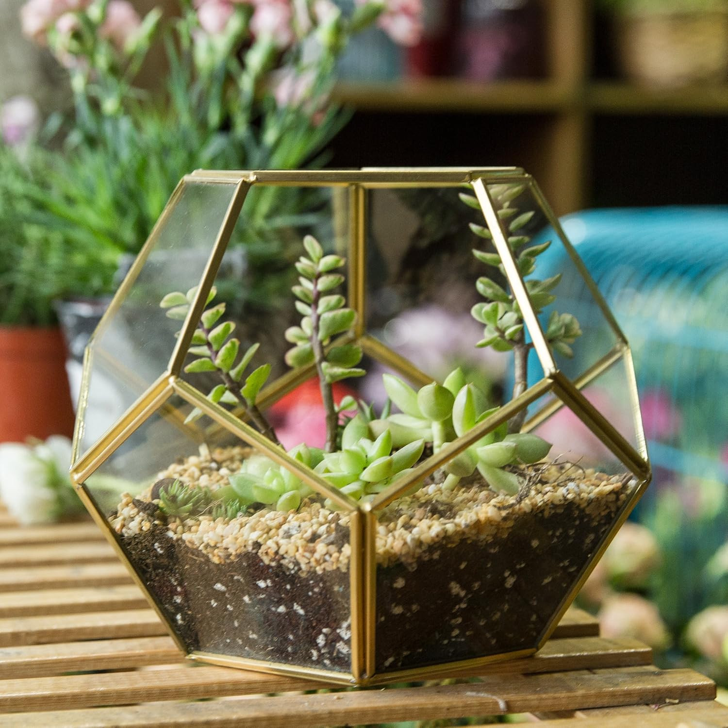 No Door Glass Terrarium for Small Cactus, Succulents – Gold Geometric Terrarium